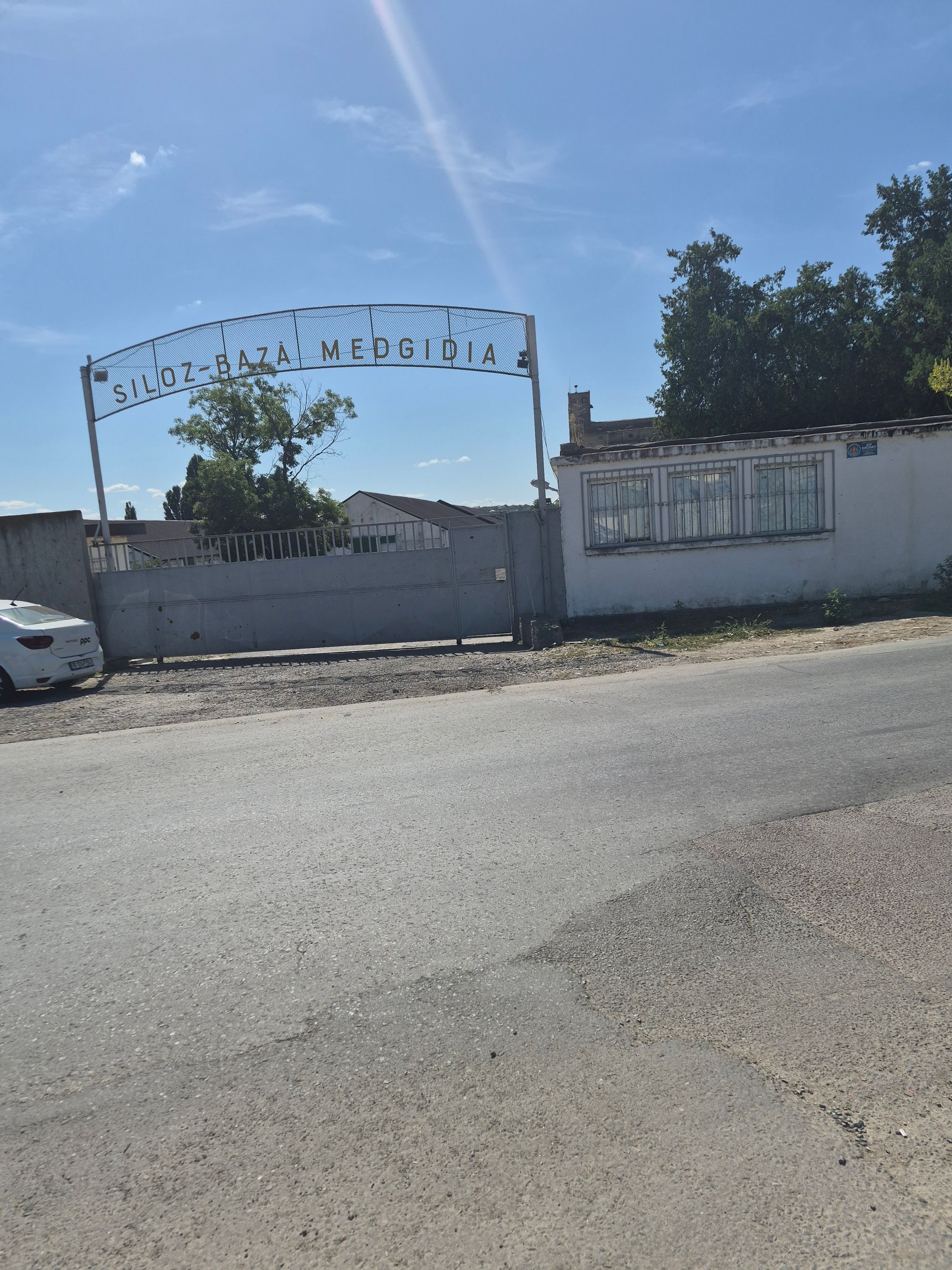 Ambrozie in Strada Lebedei 63, Medgidia, Municipiu Medgidia, Județul Constanța - 40993.jpg