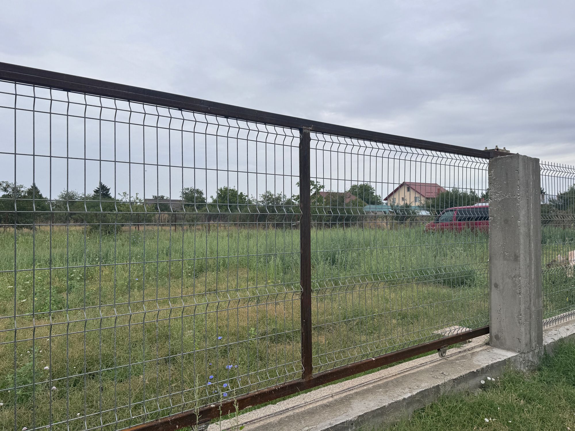 Ambrozie in Int. Vultur 1, Gulia, Comuna Tărtășești, Județul Dâmbovița - IMG_0143.jpeg