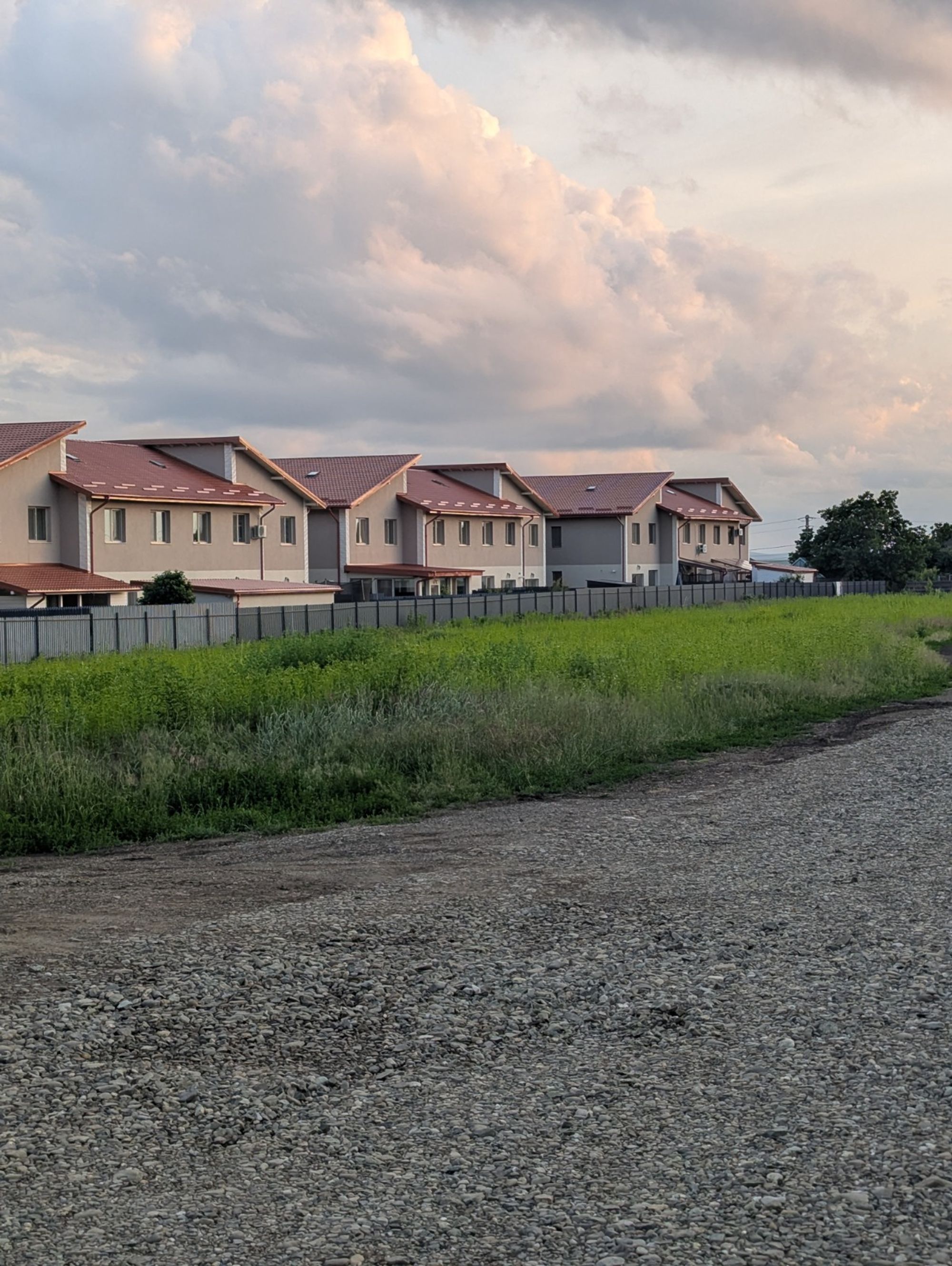 Ambrozie in Strada Lucian Blaga 17C, Valea Lupului, Comuna Valea Lupului, Județul Iași