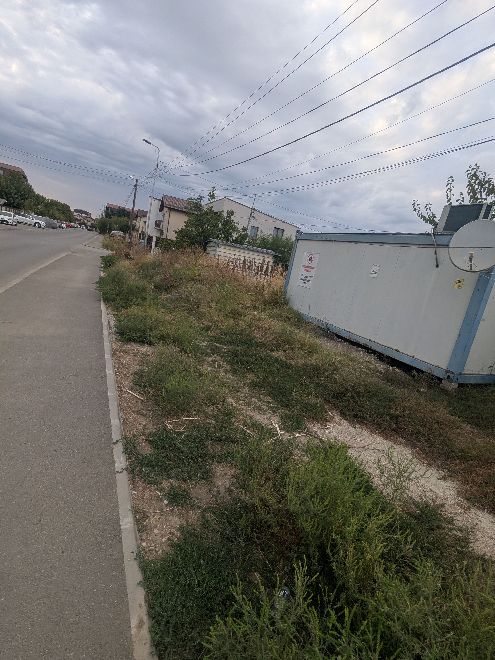 Ambrozie in Strada Luptatorilor 3, Bragadiru, Oraș Bragadiru, Județul Ilfov - 1000274431.jpg