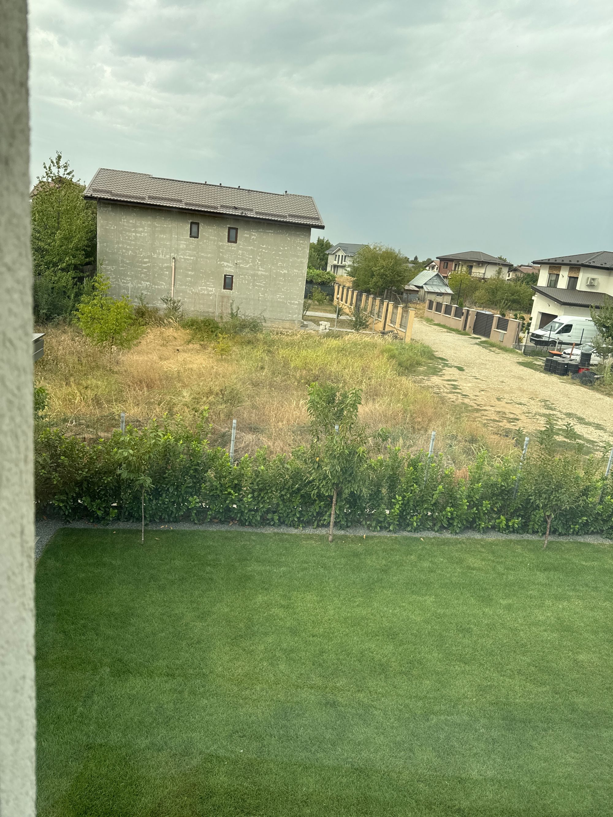 Ambrozie in Strada Randunicii 45a, Clinceni, Comuna Clinceni, Județul Ilfov - image.jpg