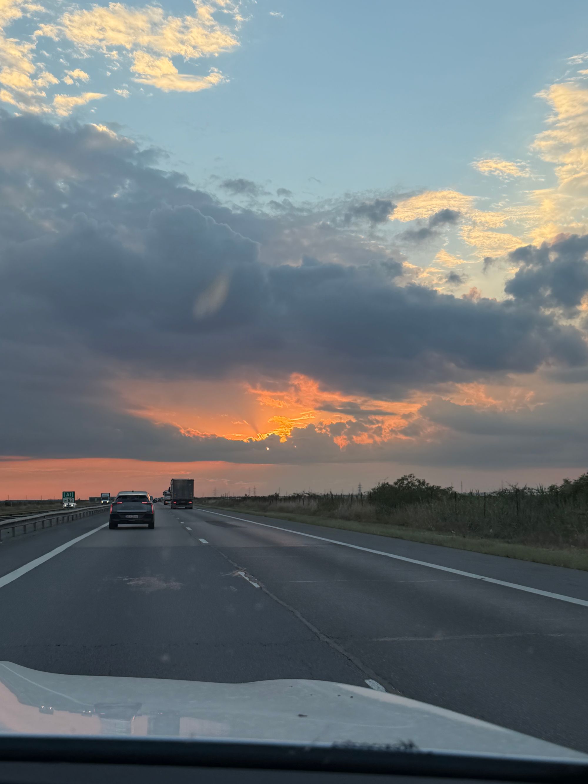Ambrozie in A1 Autostrada București - Pitești, Comuna Găiseni, Județul Giurgiu