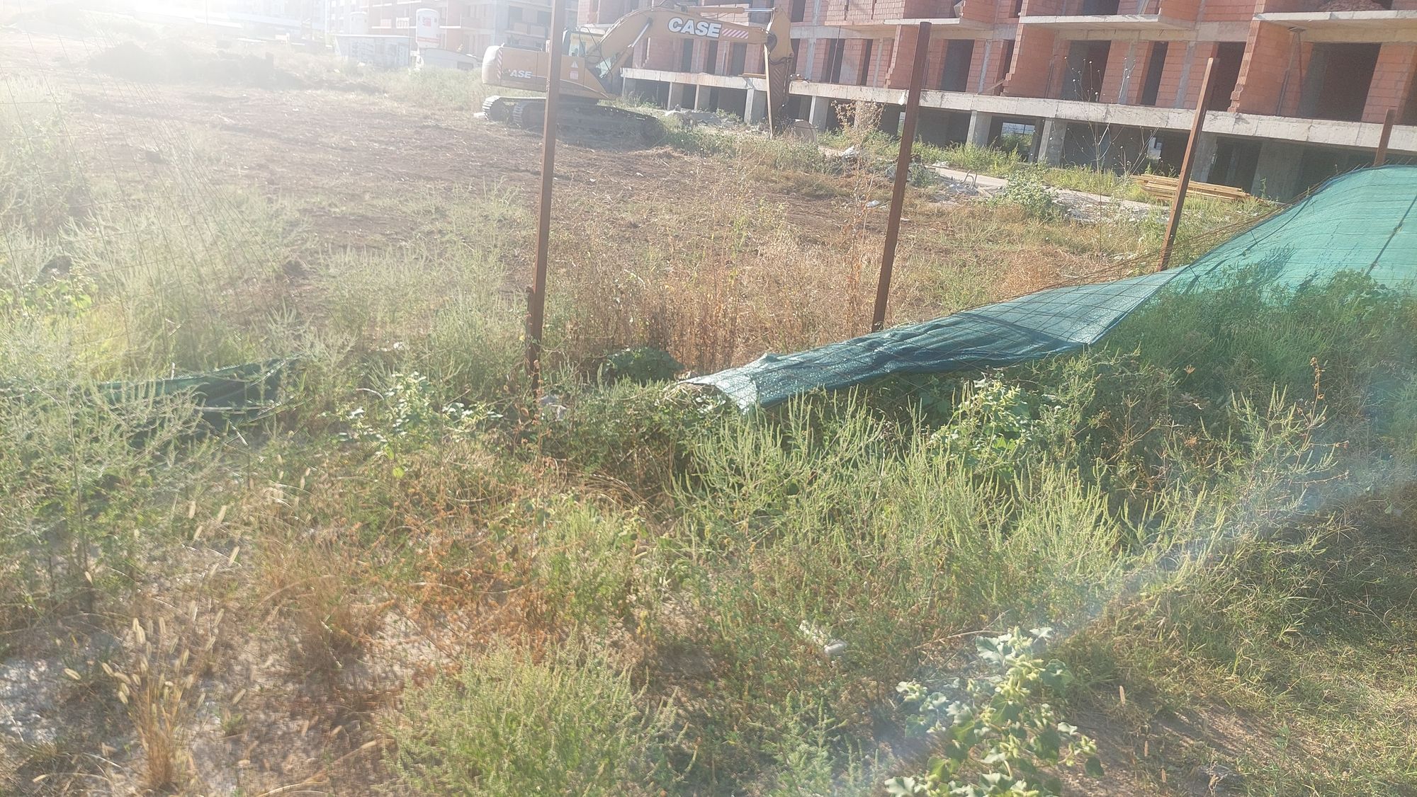 Ambrozie in Drumul Gura Vlădesei, București, Municipiul București