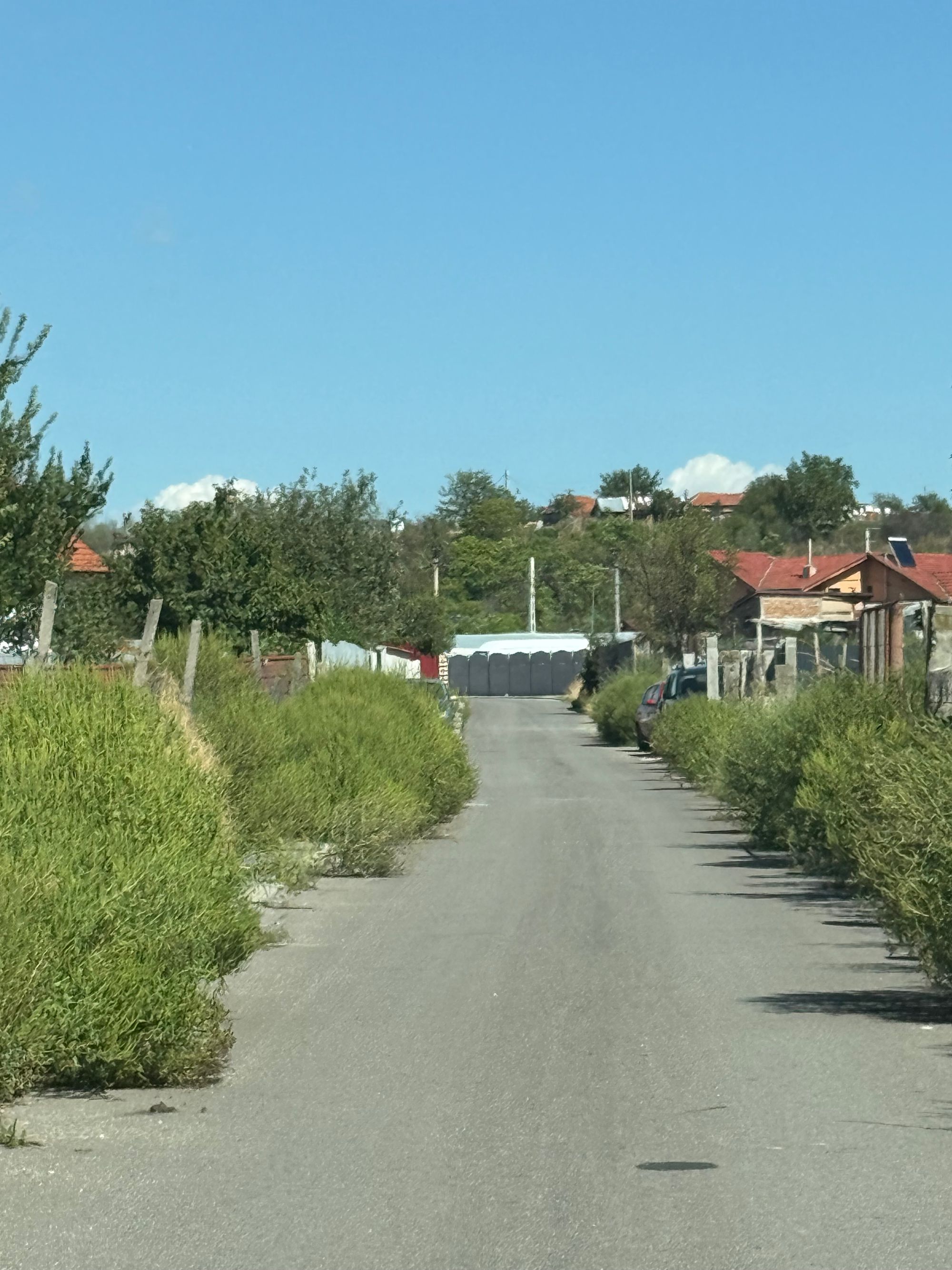 Ambrozie in Cerneți, Comuna Șimian, Județul Mehedinți - IMG_4479.jpeg