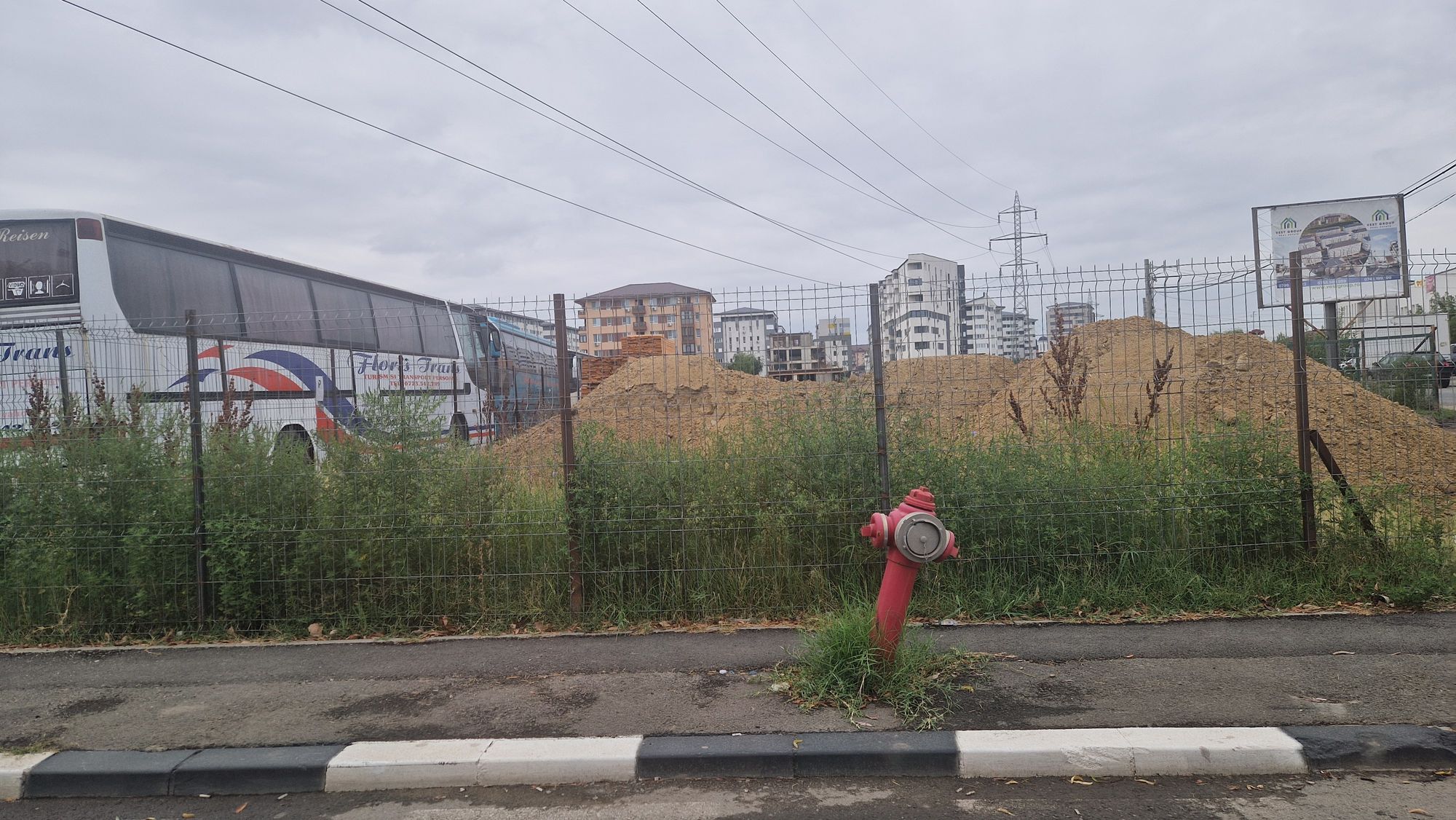 Ambrozie in Strada Apeductului 15, Roșu, Comuna Chiajna, Județul Ilfov