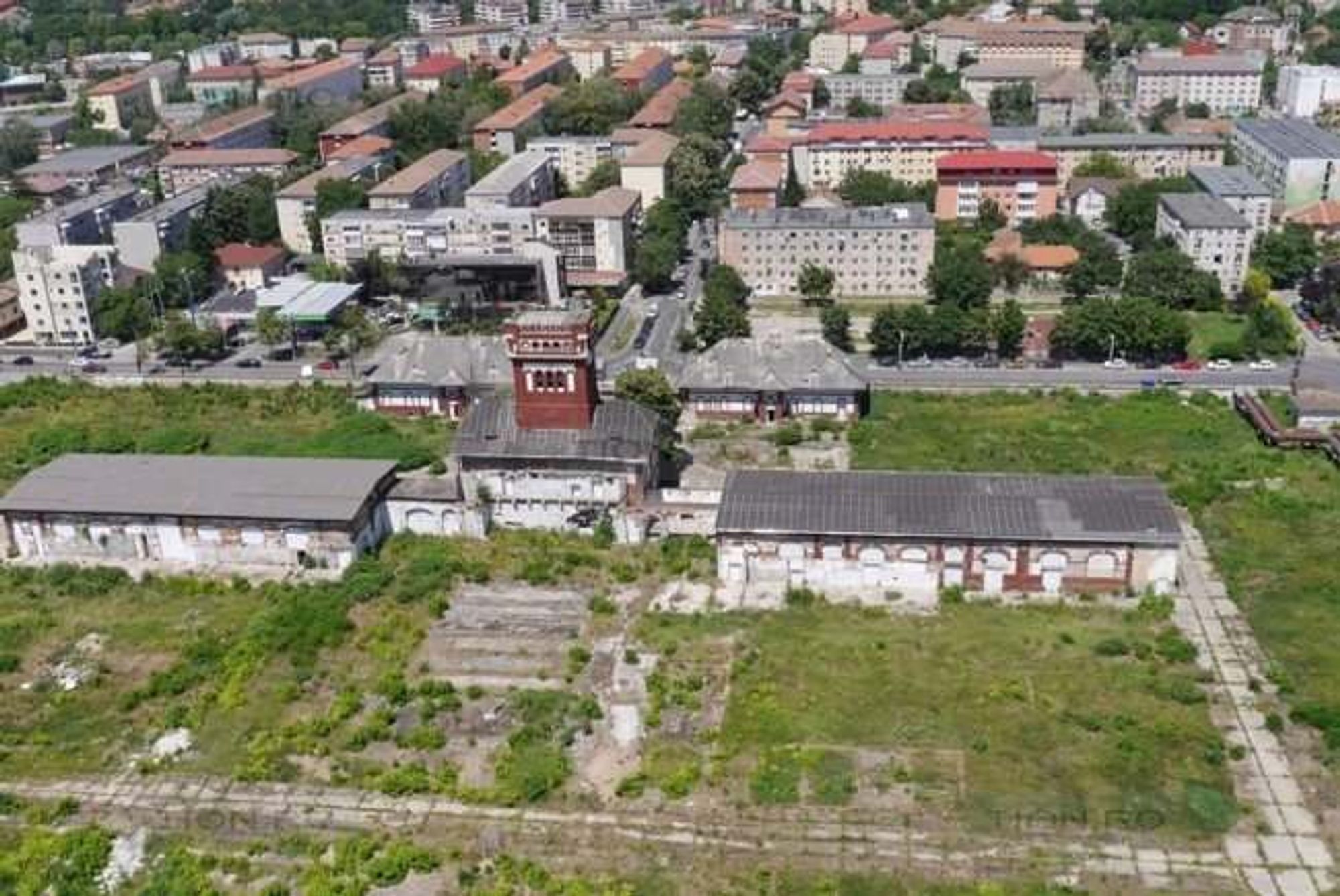 Ambrozie in Bulevardul Eroilor de la Tisa 39, Timișoara, Municipiu Timişoara, Județul Timiș - abator-din-aer.jpg