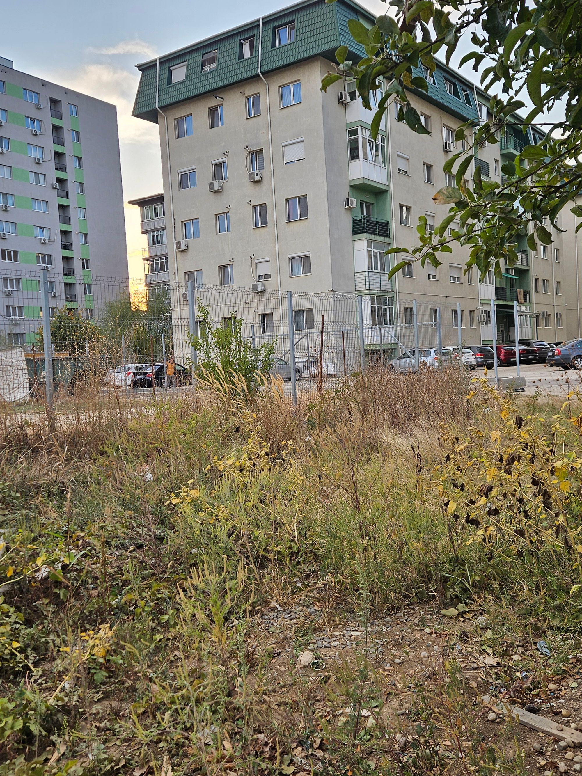 Ambrozie in Drumul Belșugului 43, București, Municipiul București