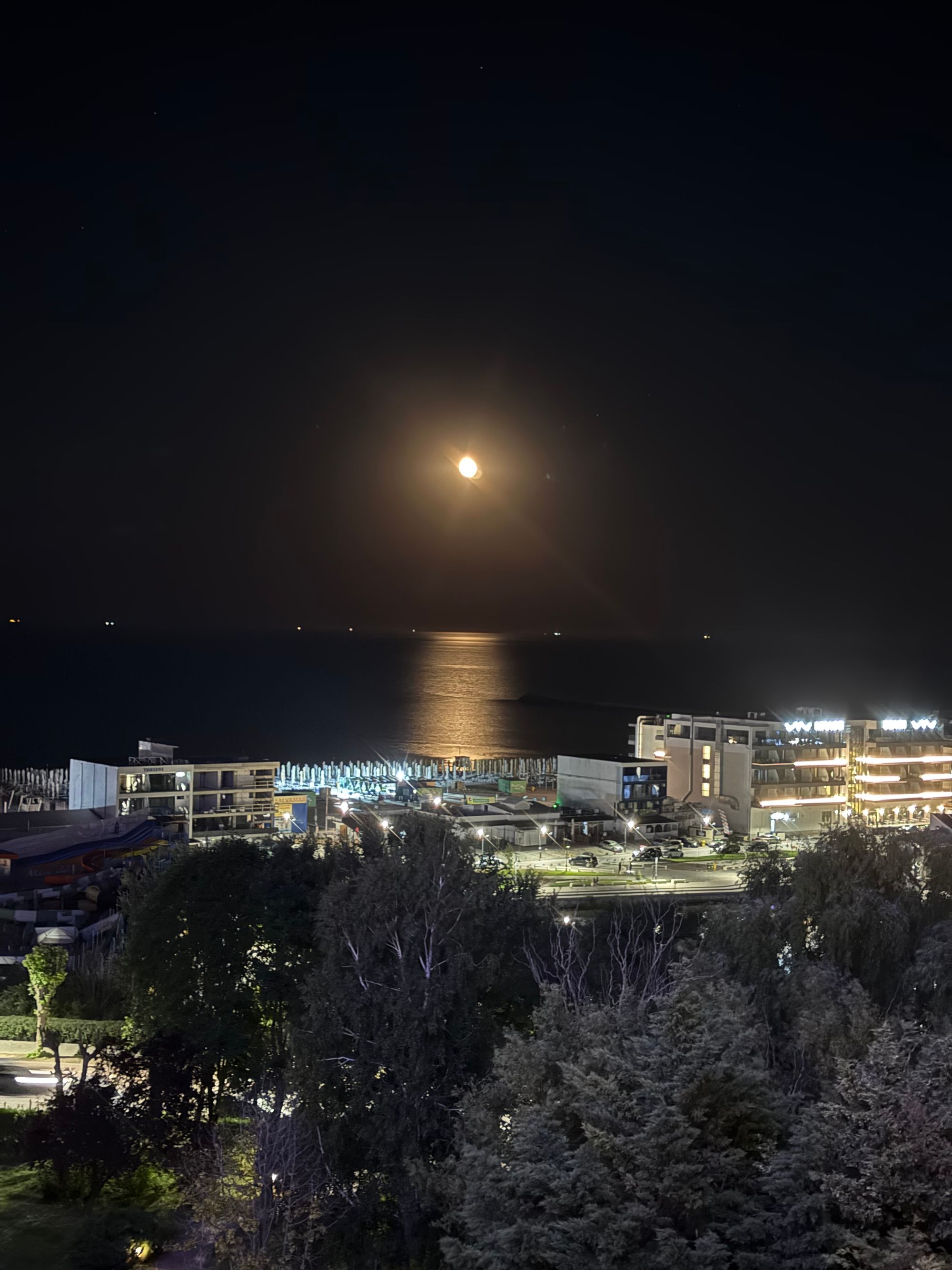 Ambrozie in Str. Lămâiței B1, Cihei, Comuna Sânmartin, Județul Bihor - IMG_1720.jpeg