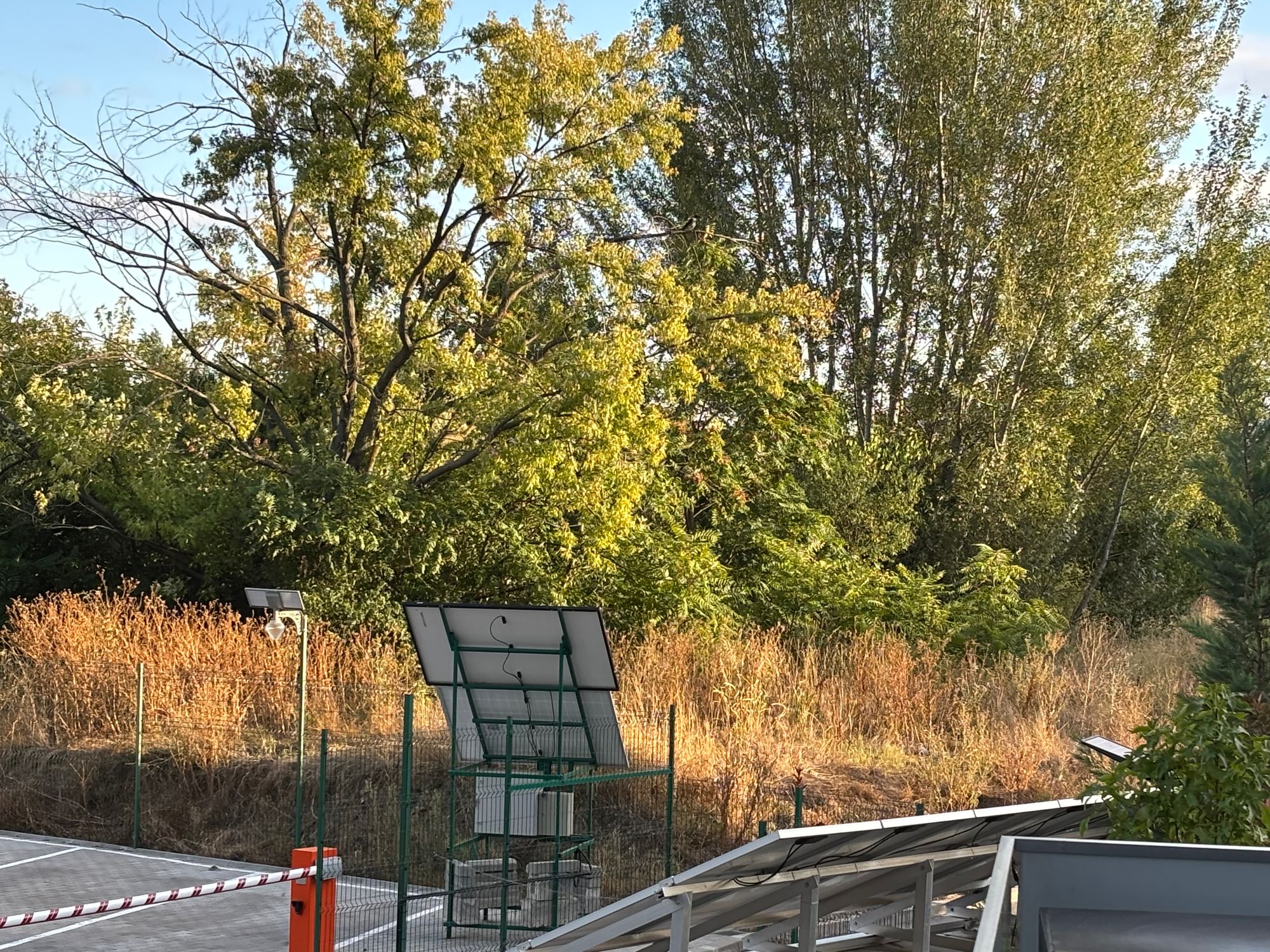 Ambrozie in Strada Povestei 10, București, Municipiul București
