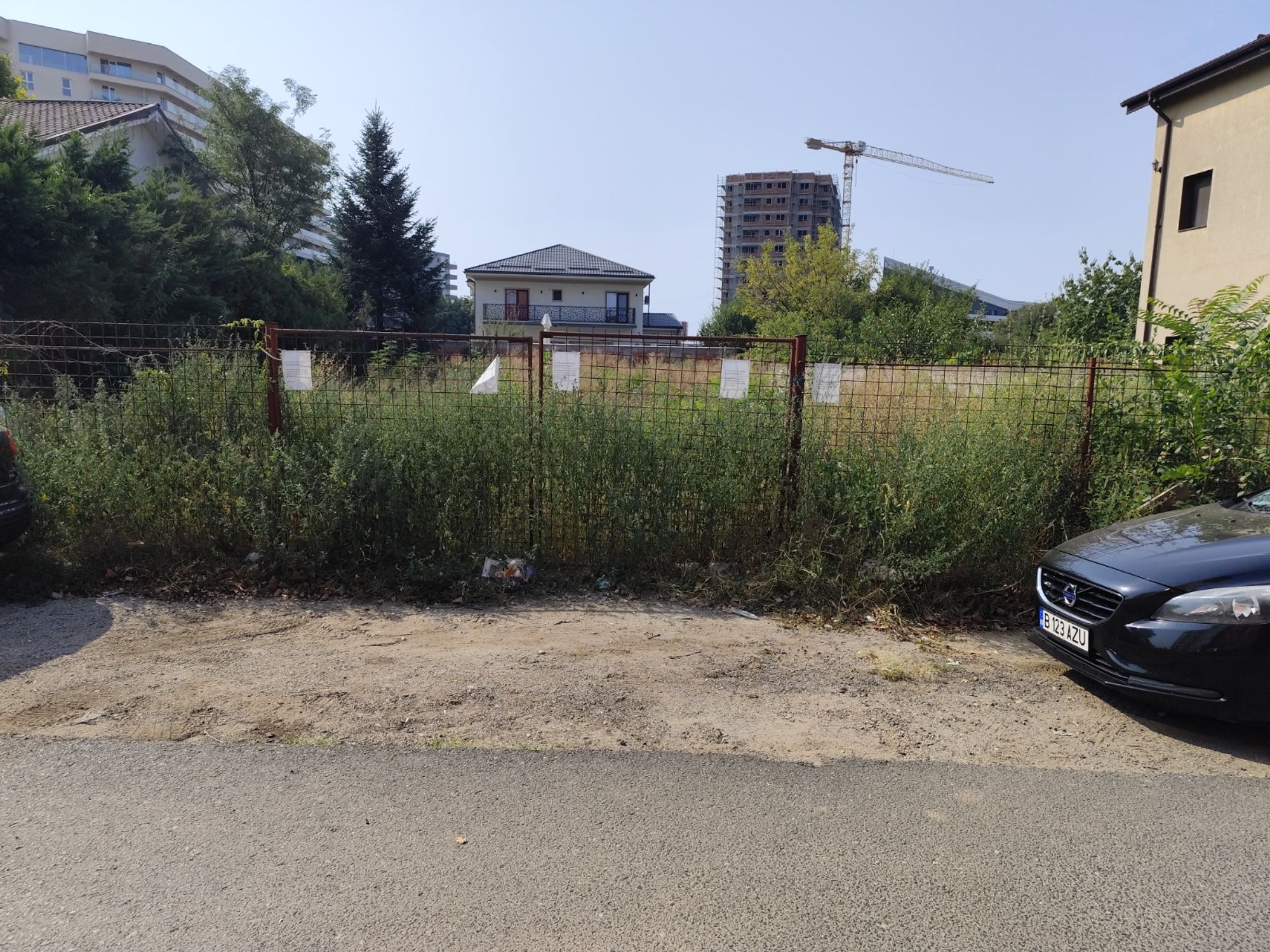 Ambrozie marcată de Erdinci Feta în Drumul Mănăstirea Văratec 8, București, Municipiul București