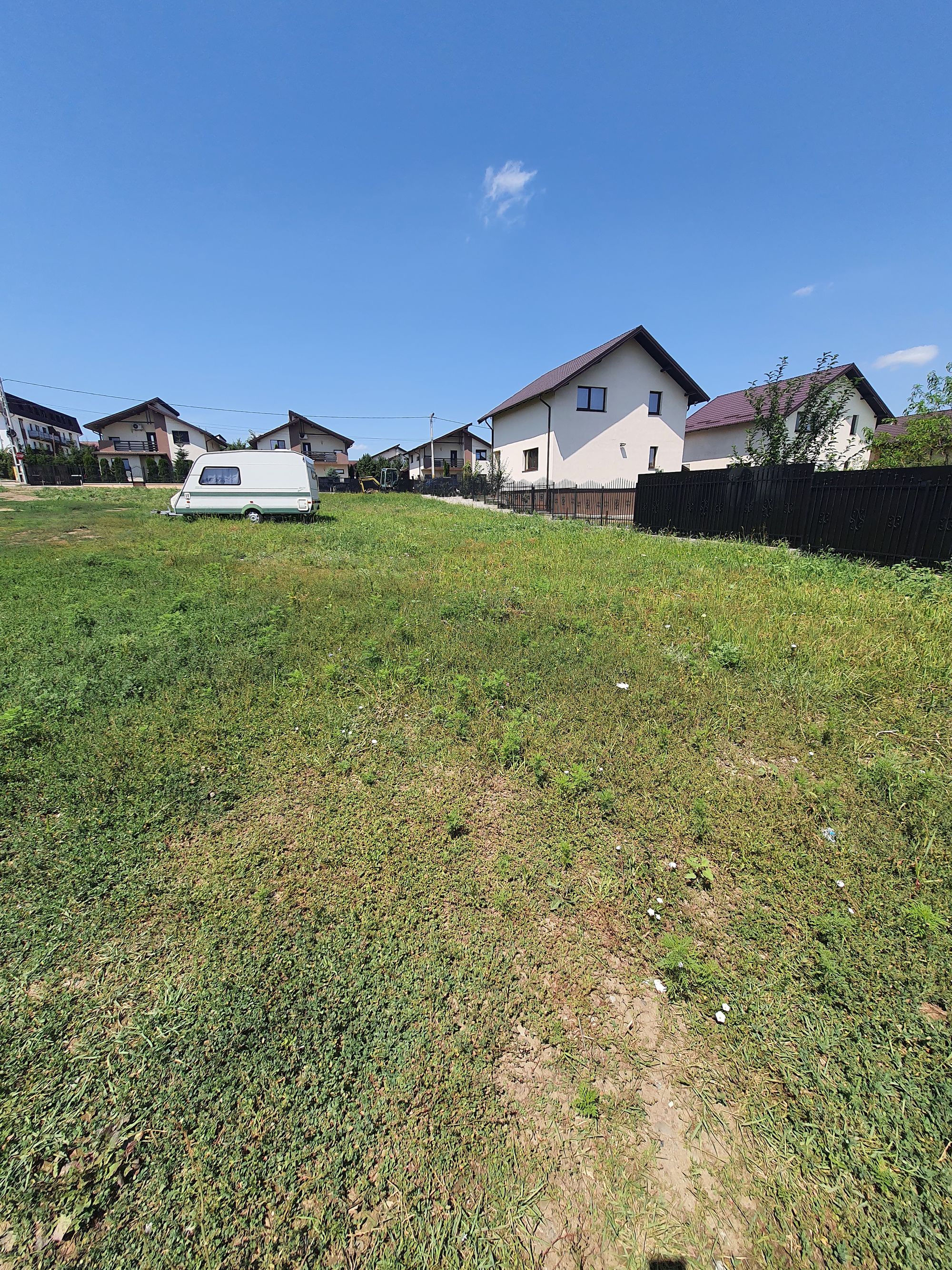 Ambrozie in Strada Livezilor 1, Valea Adâncă, Comuna Miroslava, Județul Iași - 20230721_132319.jpg