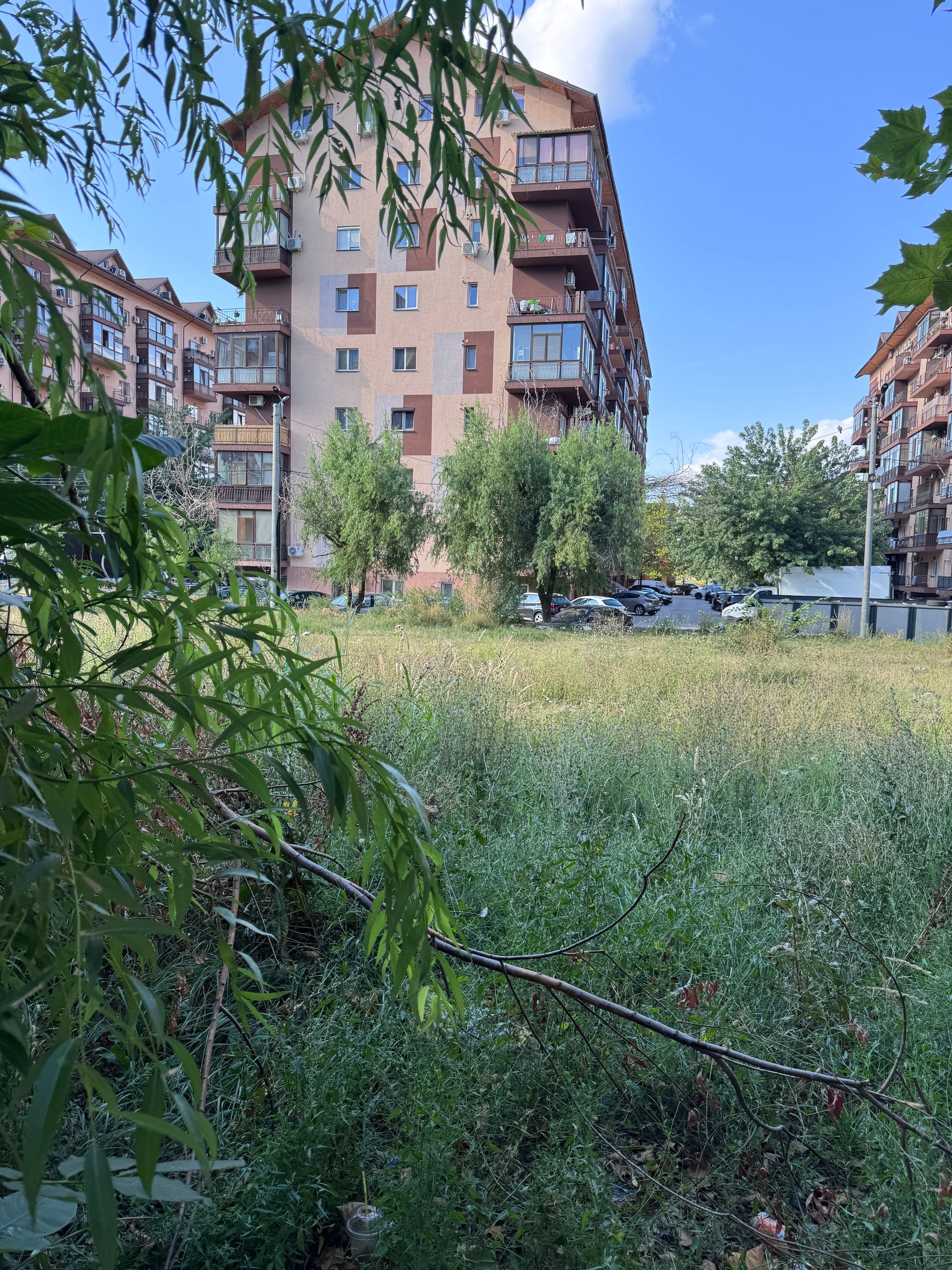 Ambrozie in Strada Rezervelor 56, Dudu, Comuna Chiajna, Județul Ilfov