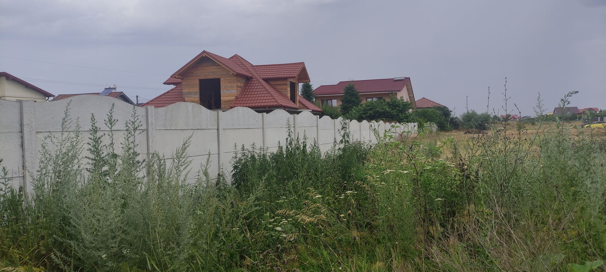 Ambrozie in Costi, Vanatori, Galați - inbound4005947043099306401.jpg