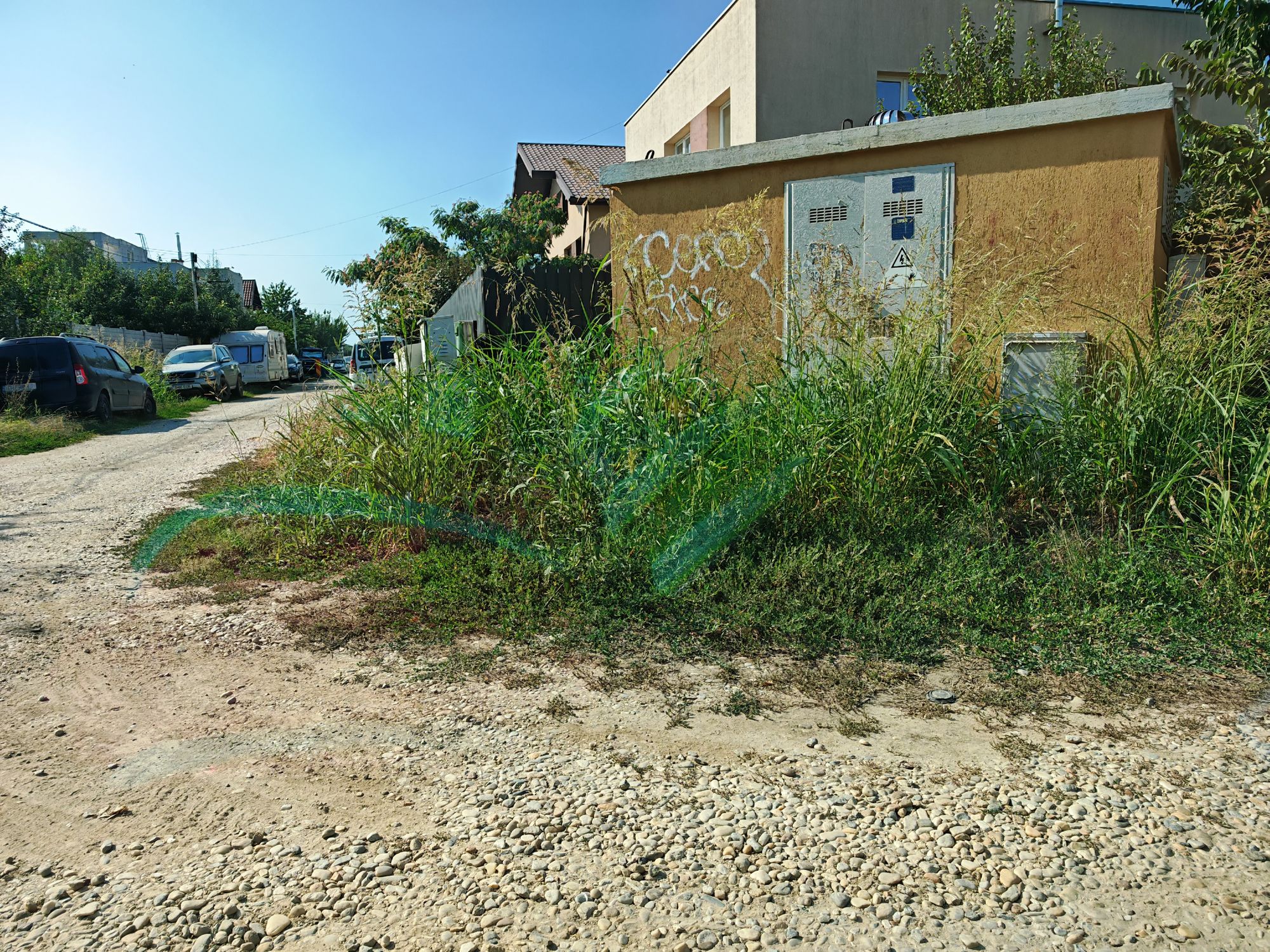 Ambrozie in Strada Mihai Bravu 24, Berceni, Comuna Berceni, Județul Ilfov
