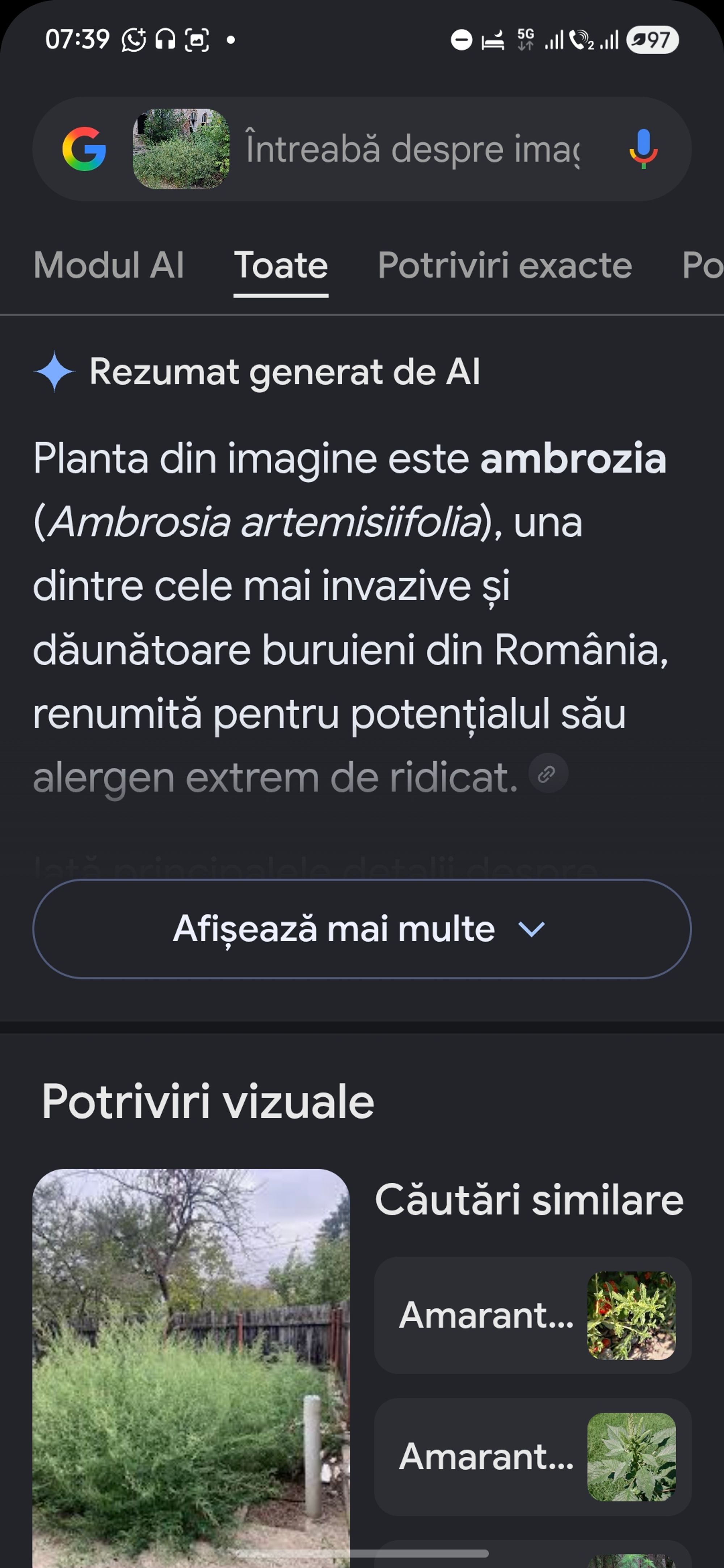 Ambrozie in Strada Grigore Ghica Vodă 19, Iași, Municipiu Iași, Județul Iași - 81328.jpg