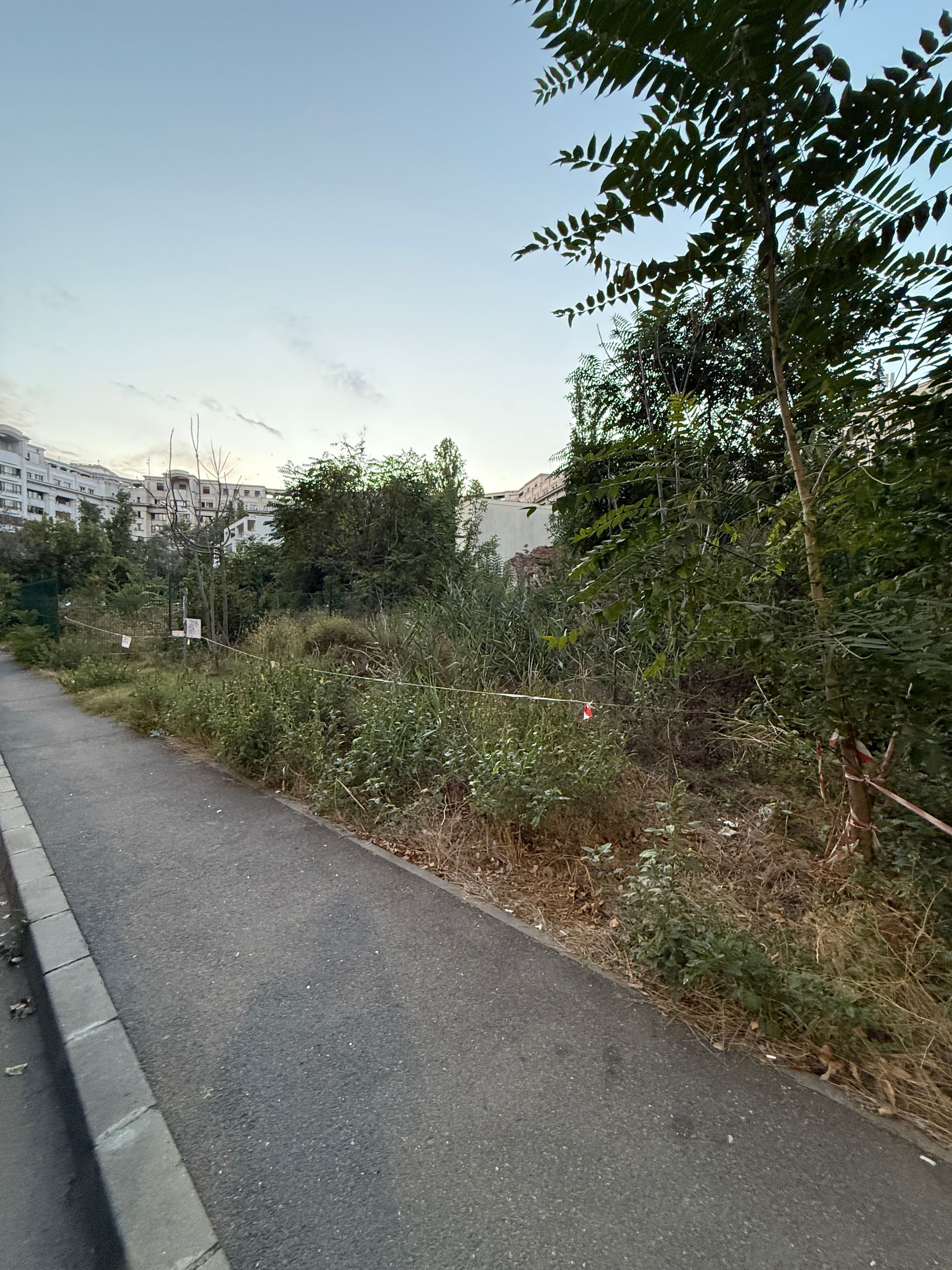 Ambrozie in Strada Vânători 4, București, Municipiul București