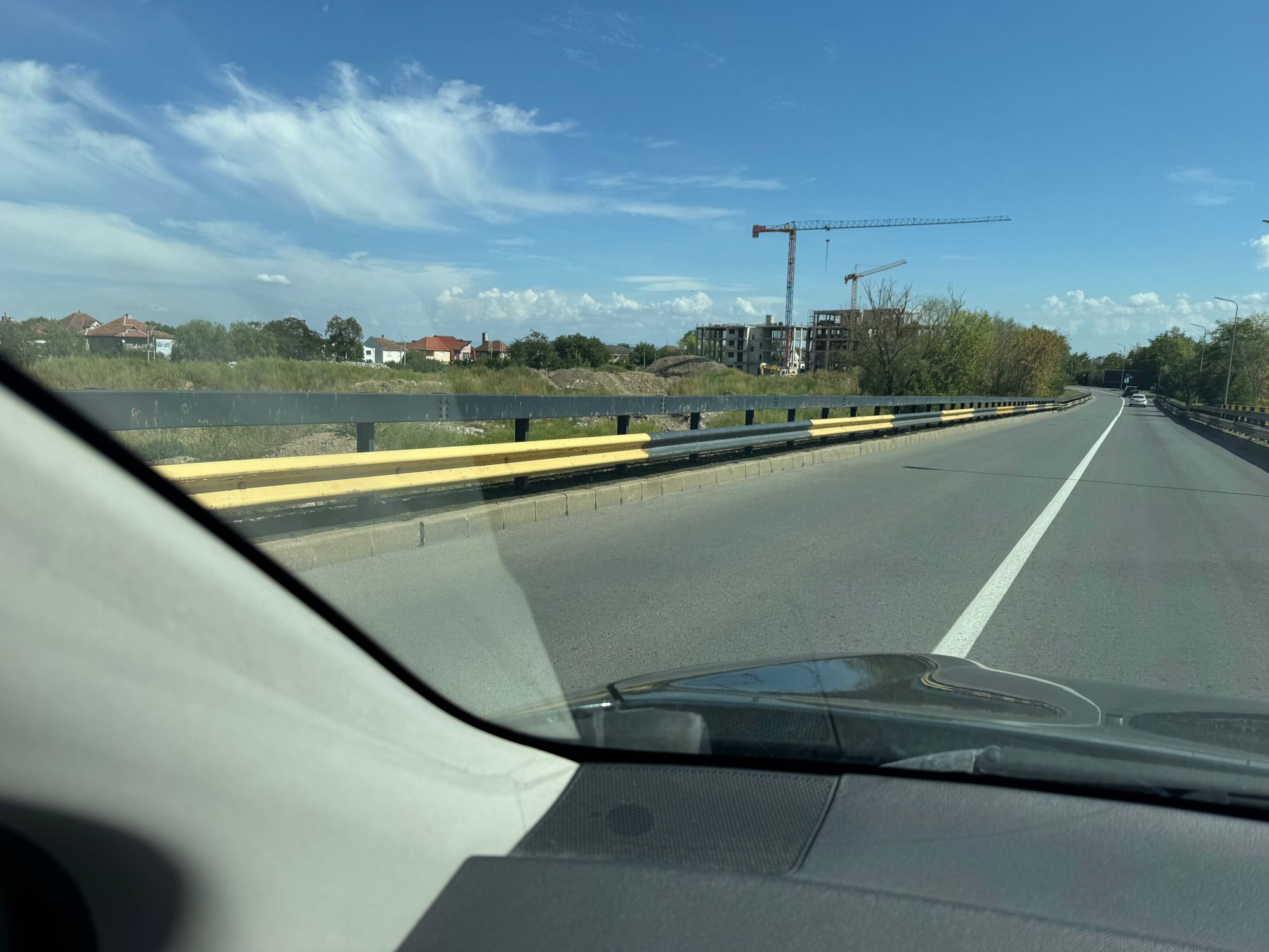 Ambrozie in Satu Mare, Municipiu Satu Mare, Județul Satu Mare