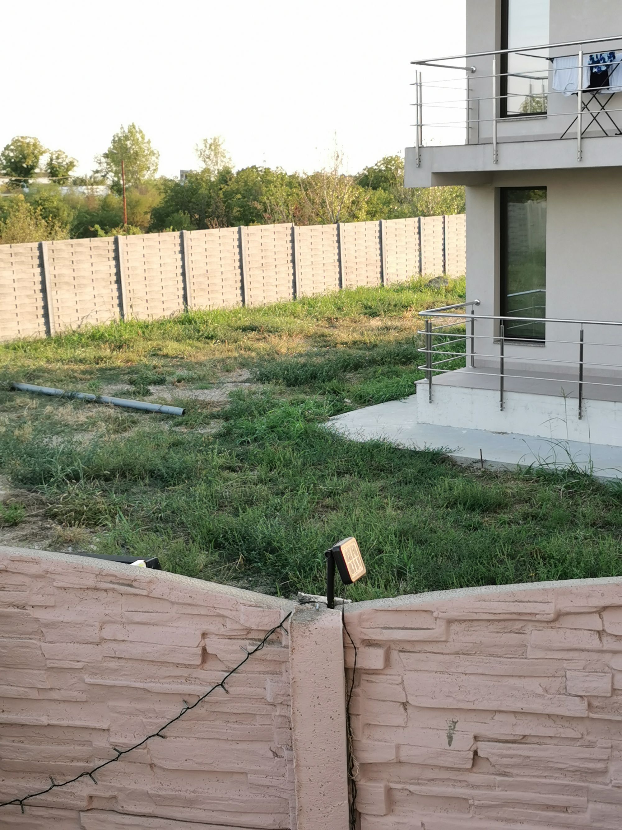 Ambrozie in Strada Văilor, Slatina, Municipiu Slatina, Județul Olt - IMG_20250908_185650.jpg