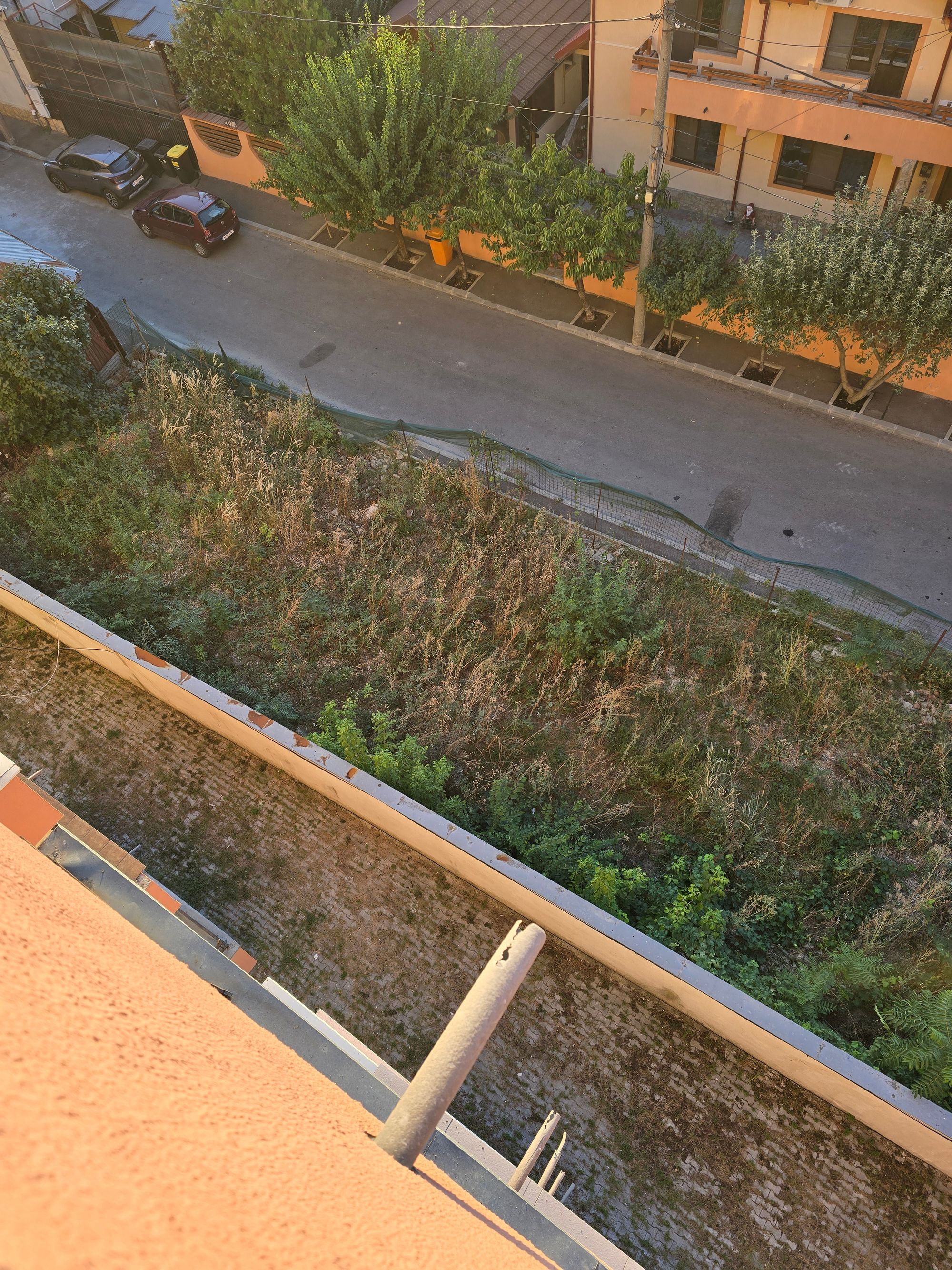 Ambrozie in Strada Consumului 12, București, Municipiul București - 20250916_184929.jpg