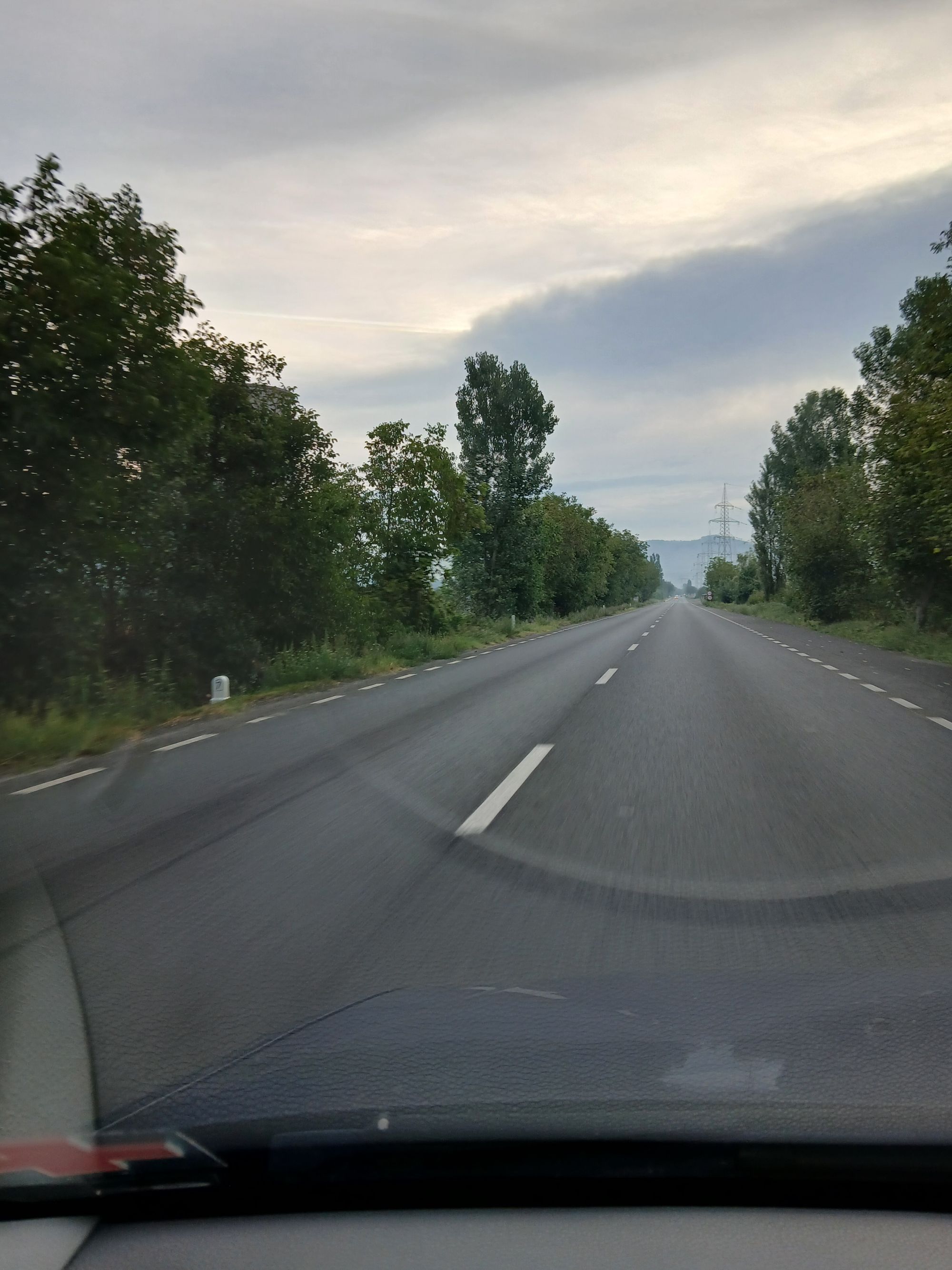 Ambrozie in Vețel, Comuna Vețel, Județul Hunedoara - 20250822_071223.jpg