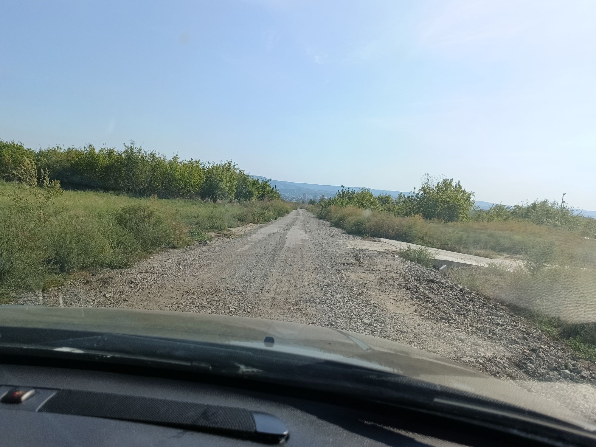 Ambrozie in Iași, Județul Iași - 1000175243.jpg