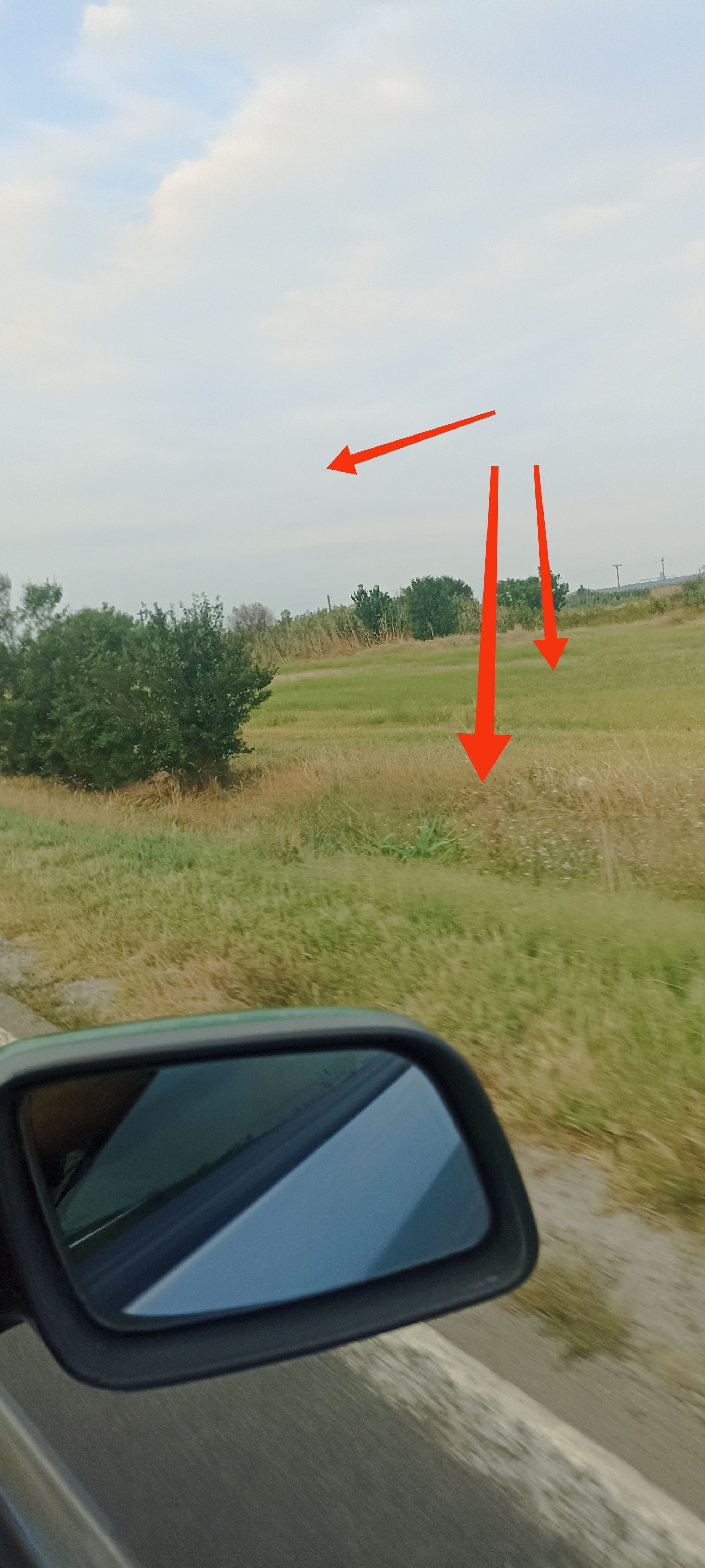 Ambrozie in Slobozia Nouă, Municipiu Slobozia, Județul Ialomița