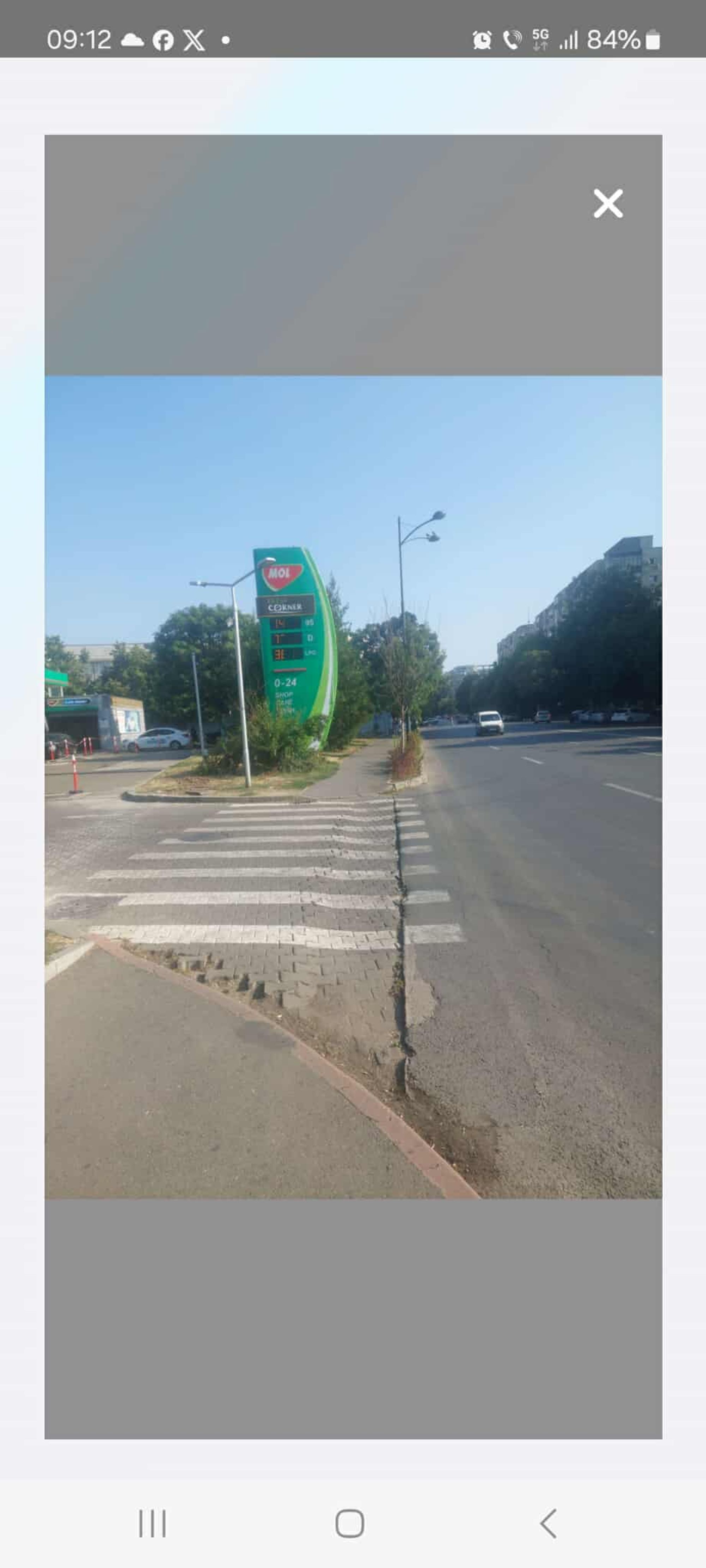 Ambrozie in Calea Văcărești 178, București, Municipiul București - zona cu ambrozie.jpg