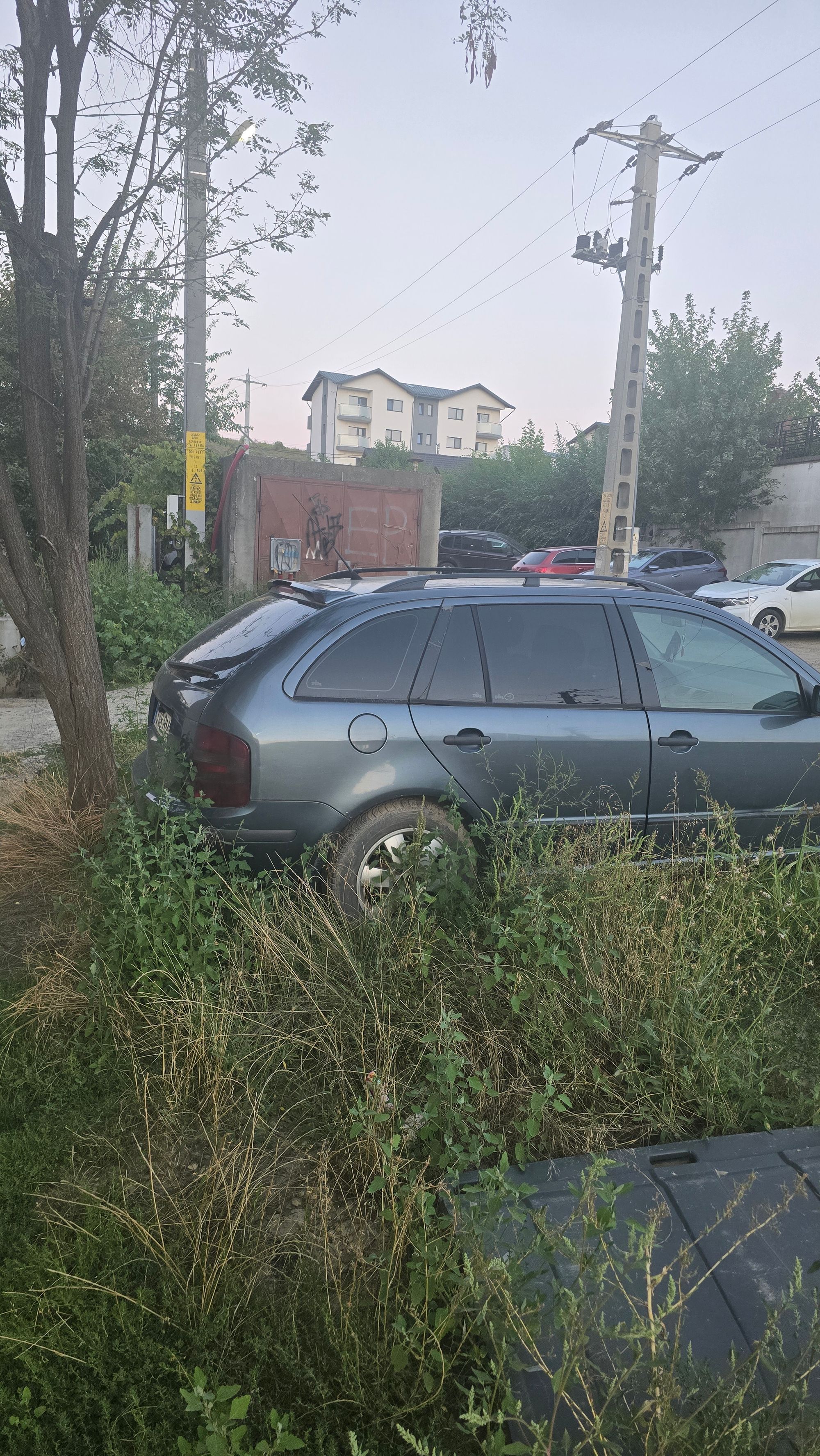 Ambrozie in Strada Sfântul Ilie 61, Vișan, Comuna Bârnova, Județul Iași