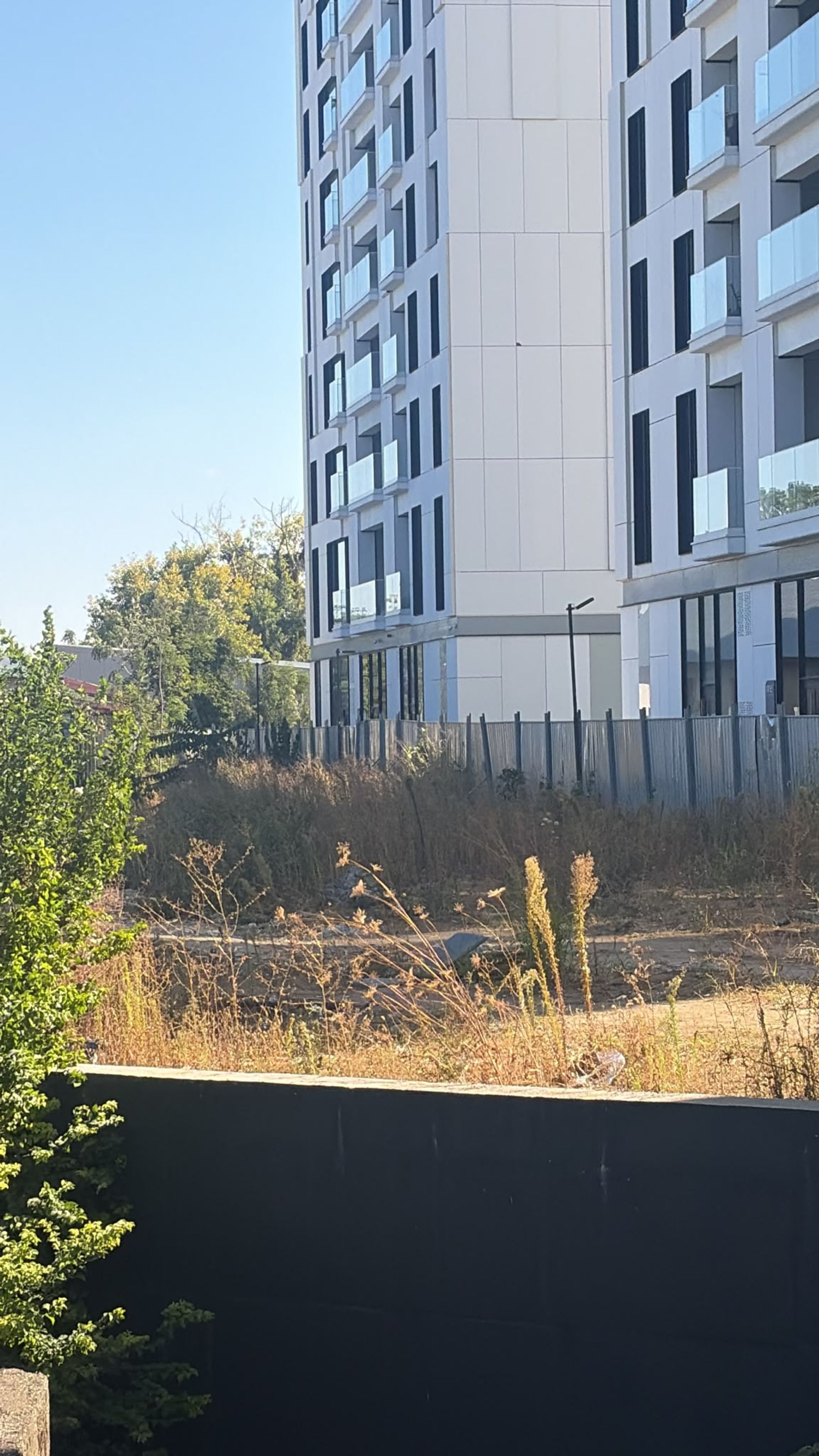 Ambrozie in Șos. Panduri 77, București, Municipiul București