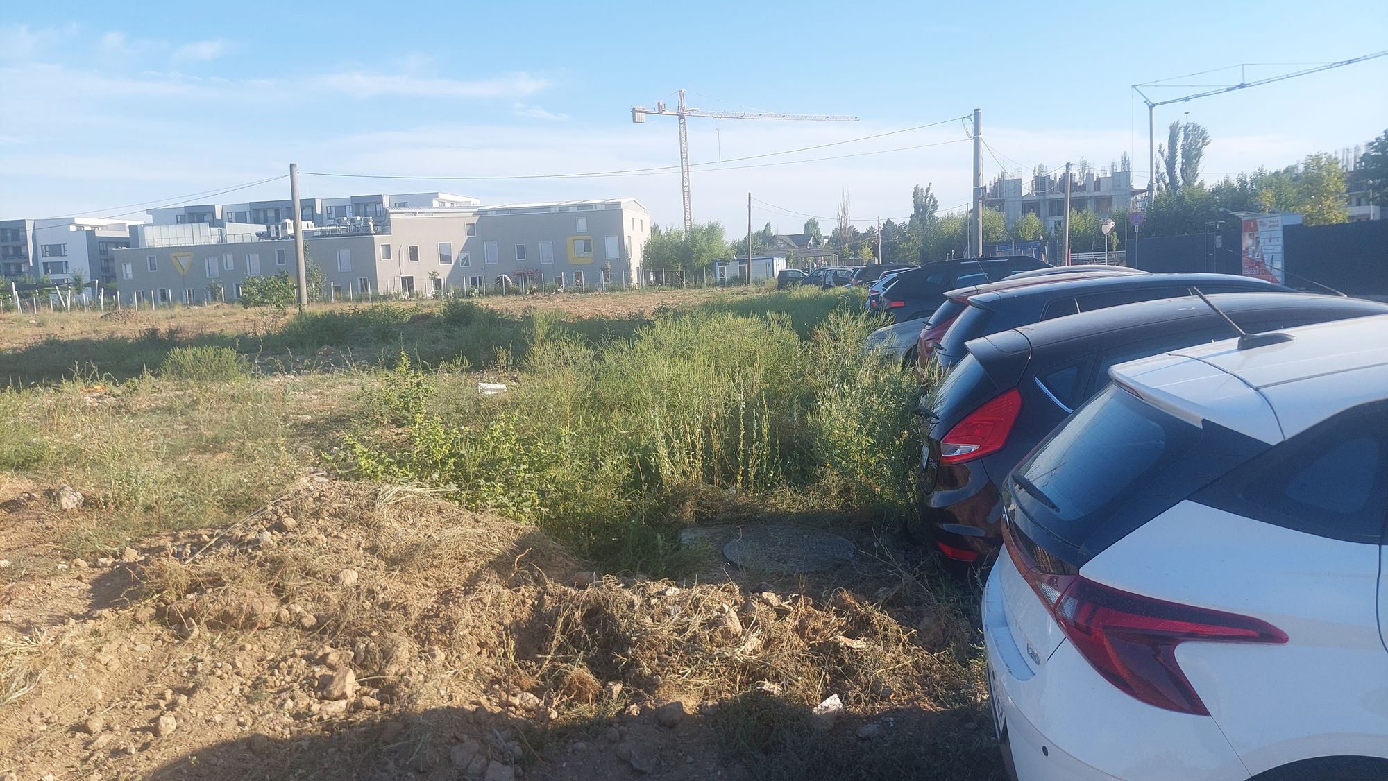 Ambrozie in Strada Drumul Gura Vladesei 16-18, București, Municipiul București