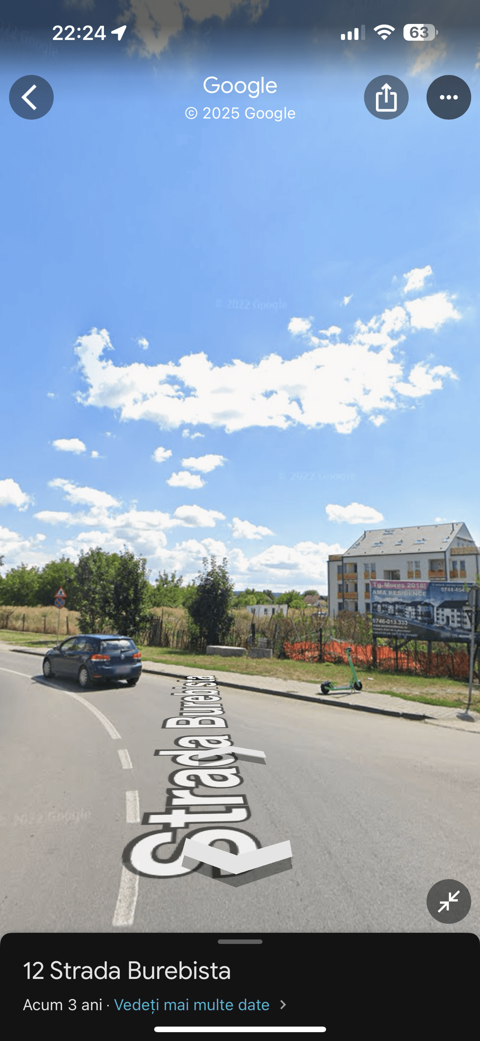 Ambrozie in Strada Vasile Sabadeanu 149, Târgu Mureș, Municipiu Târgu Mureş, Județul Mureș - IMG_3603.png