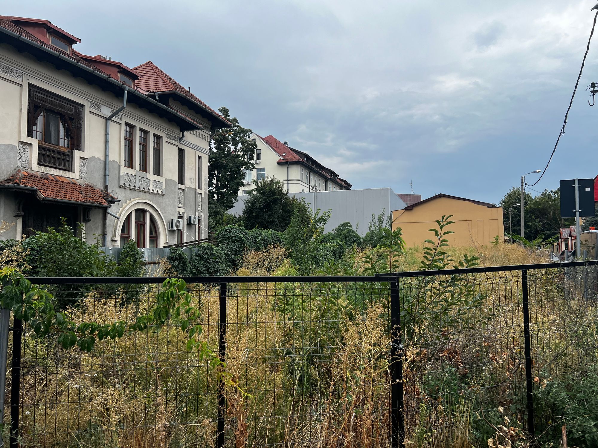 Ambrozie in Strada Agricultori 30, București, Municipiul București