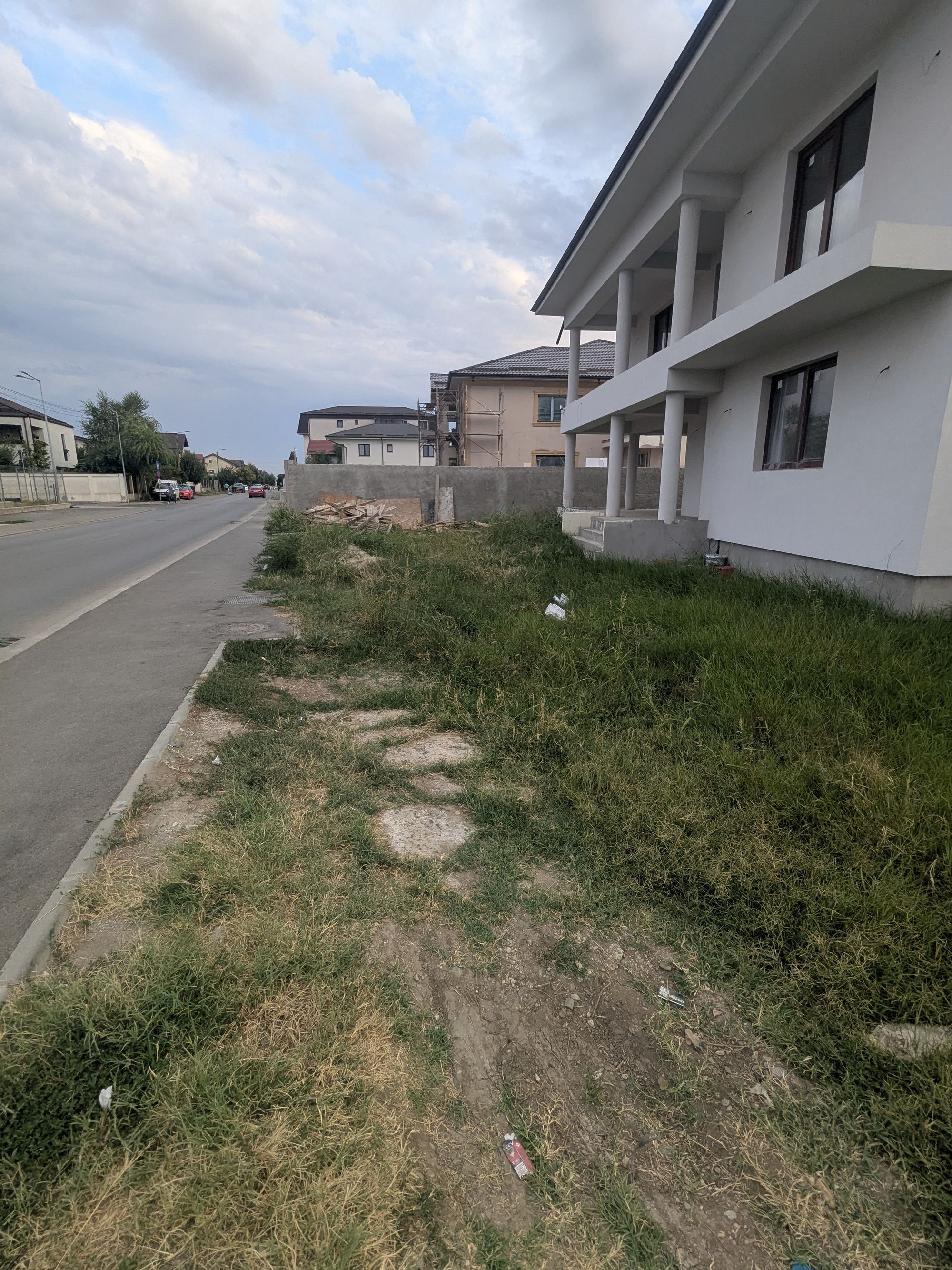 Ambrozie in Strada Ordonantei 2, Bragadiru, Oraș Bragadiru, Județul Ilfov