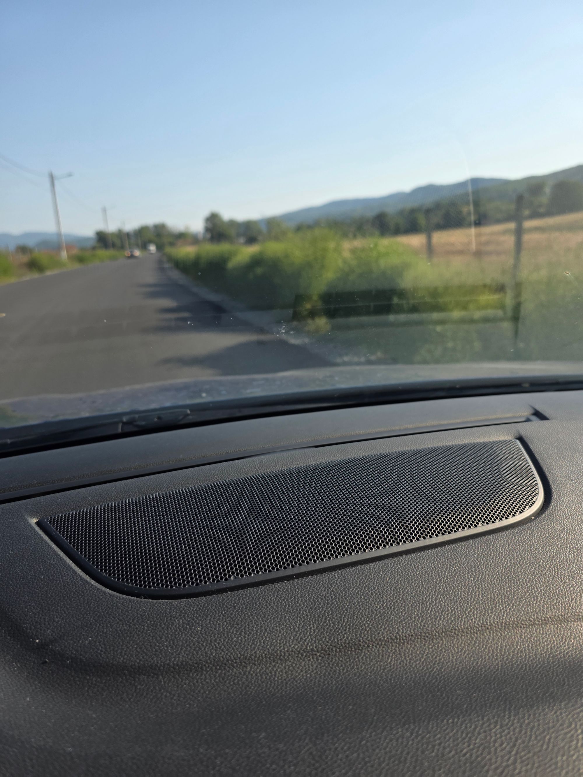 Ambrozie in DJ703L 8, Dăești, Comuna Dăești, Județul Vâlcea - inbound7803154141170203779.jpg