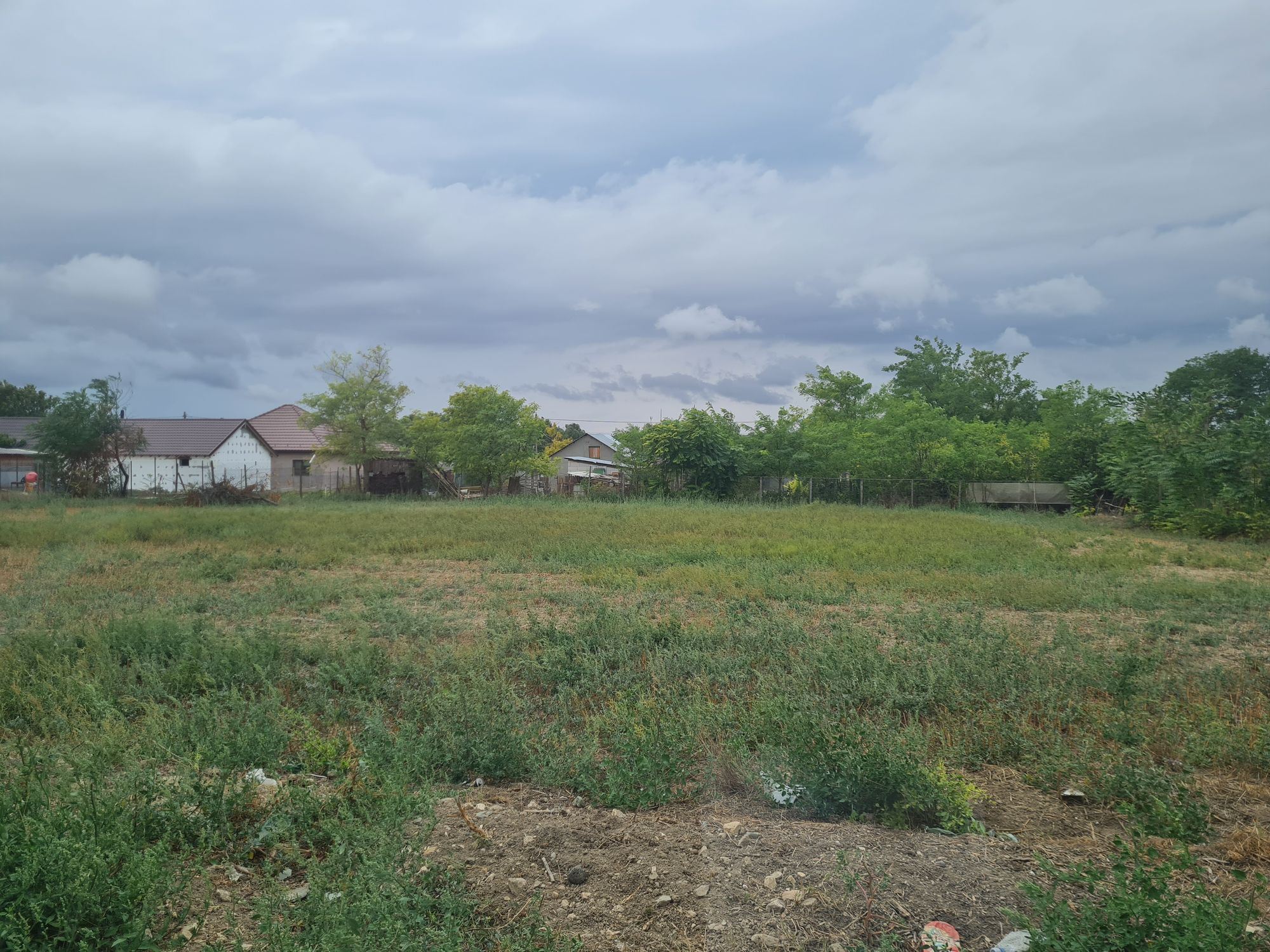 Ambrozie in DJ225 15, Nicolae Bălcescu, Comuna Nicolae Bălcescu, Județul Constanța