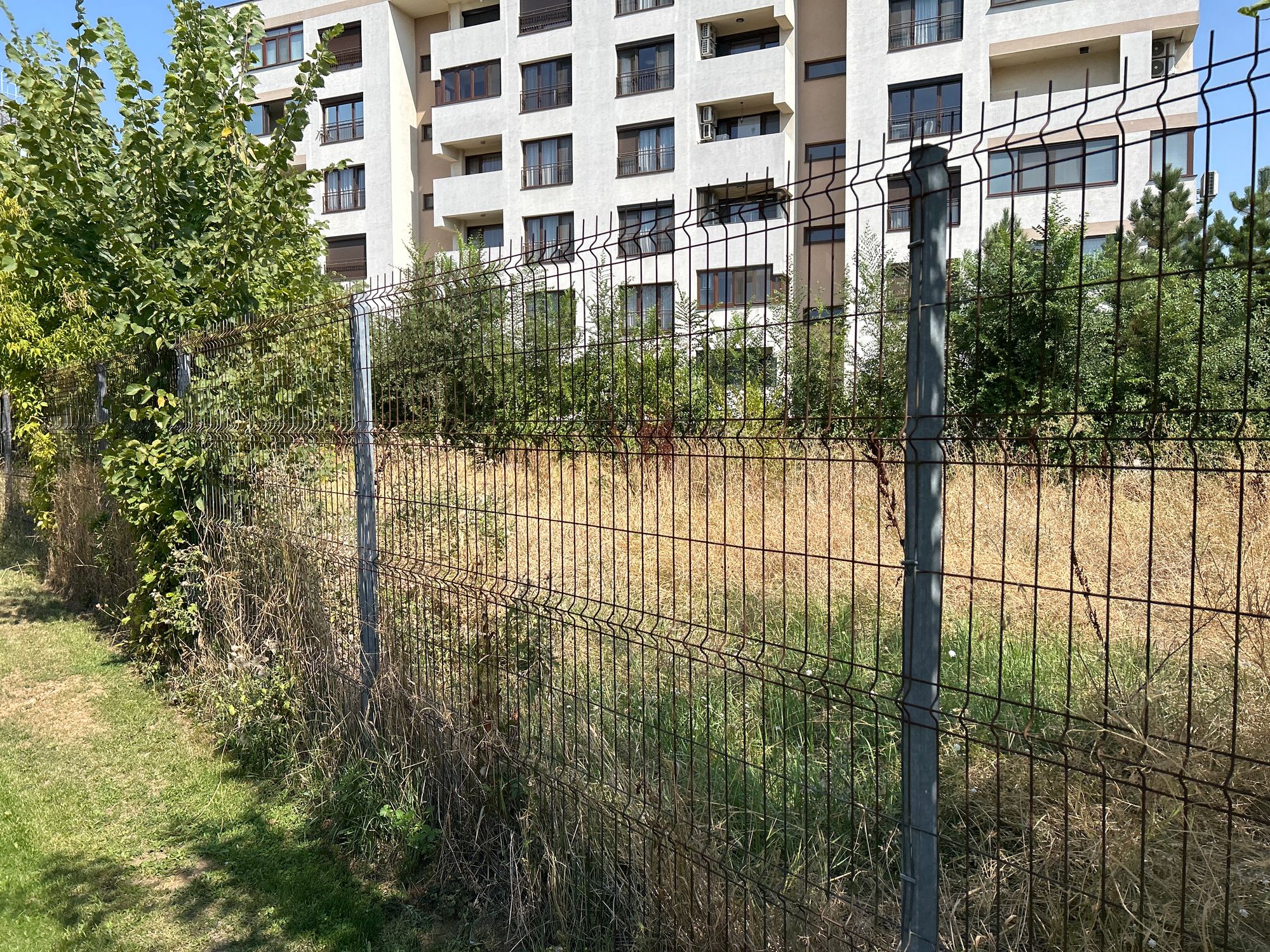 Ambrozie in Strada Caius Marcius Coriolan 36, București, Municipiul București - image.jpg