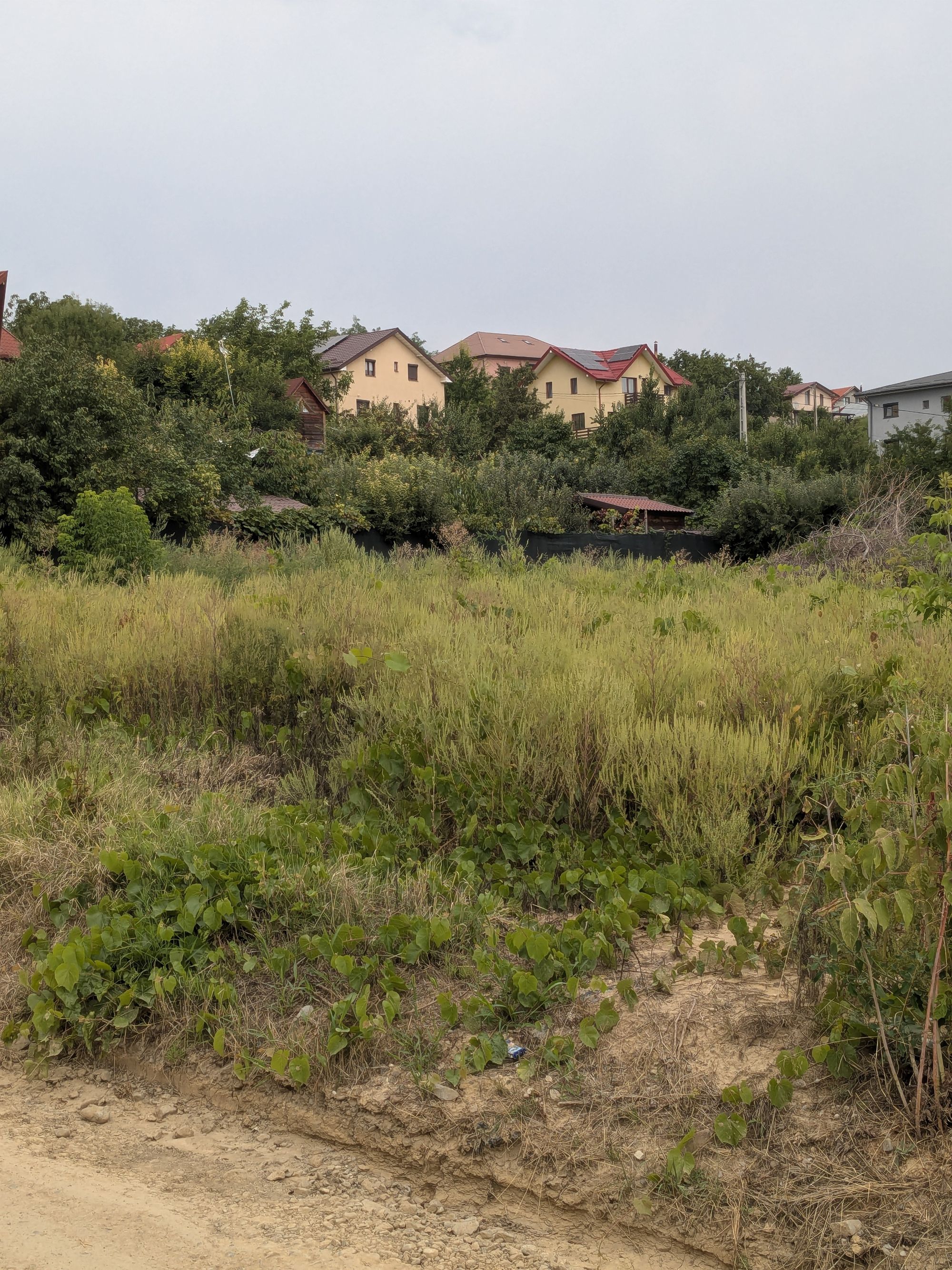 Ambrozie in Strada Sfântul Ilie 66, Vișan, Comuna Bârnova, Județul Iași