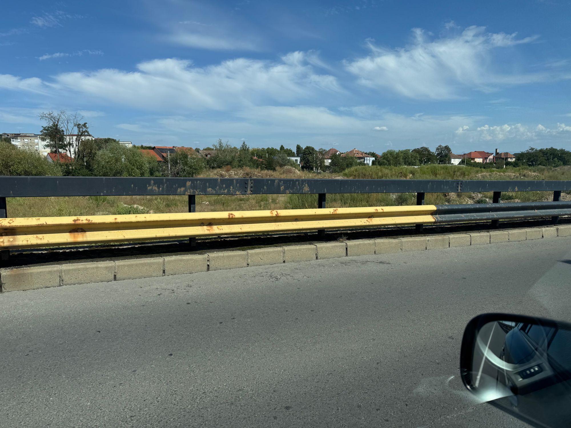 Ambrozie in Satu Mare, Municipiu Satu Mare, Județul Satu Mare