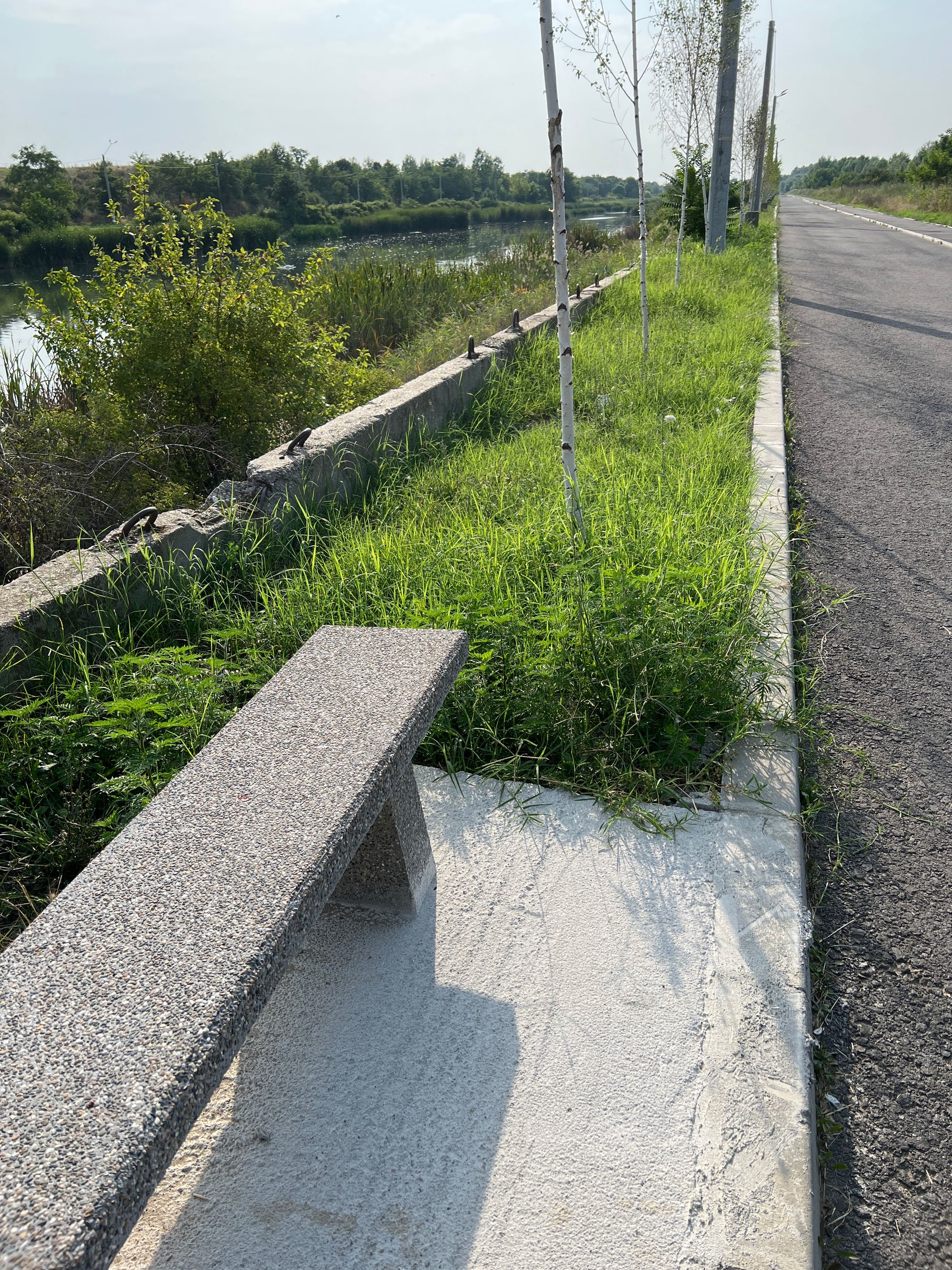 Ambrozie in Bucharest - image.jpg