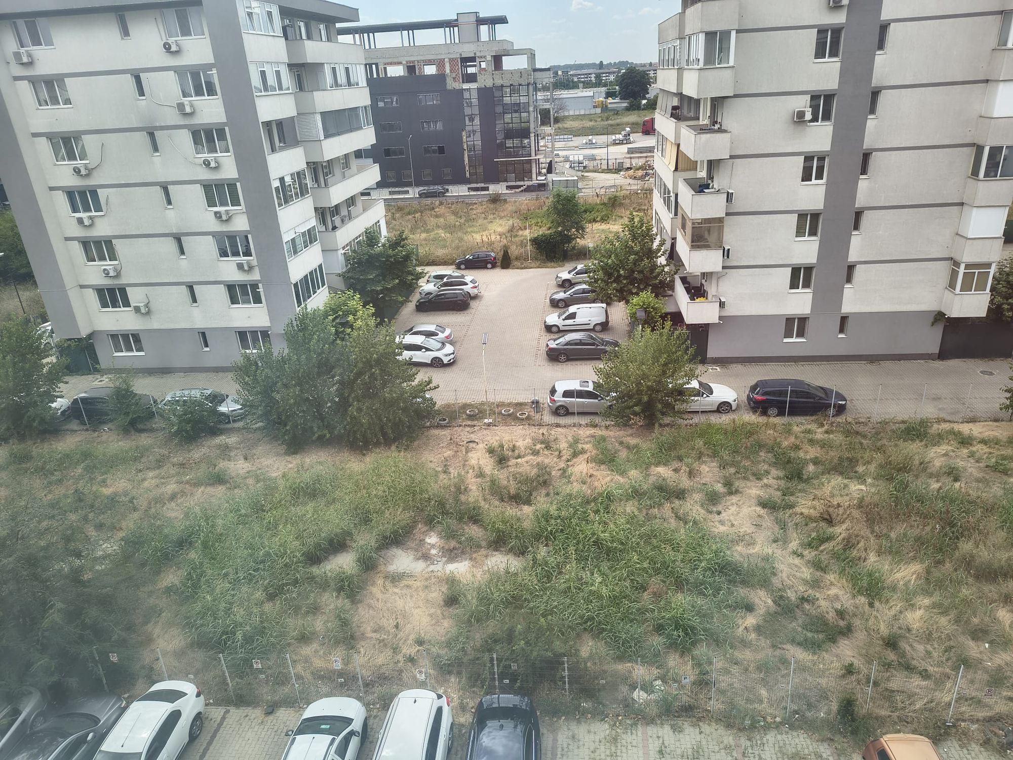 Ambrozie in Strada Diamantului 113, Bragadiru, Oraș Bragadiru, Județul Ilfov