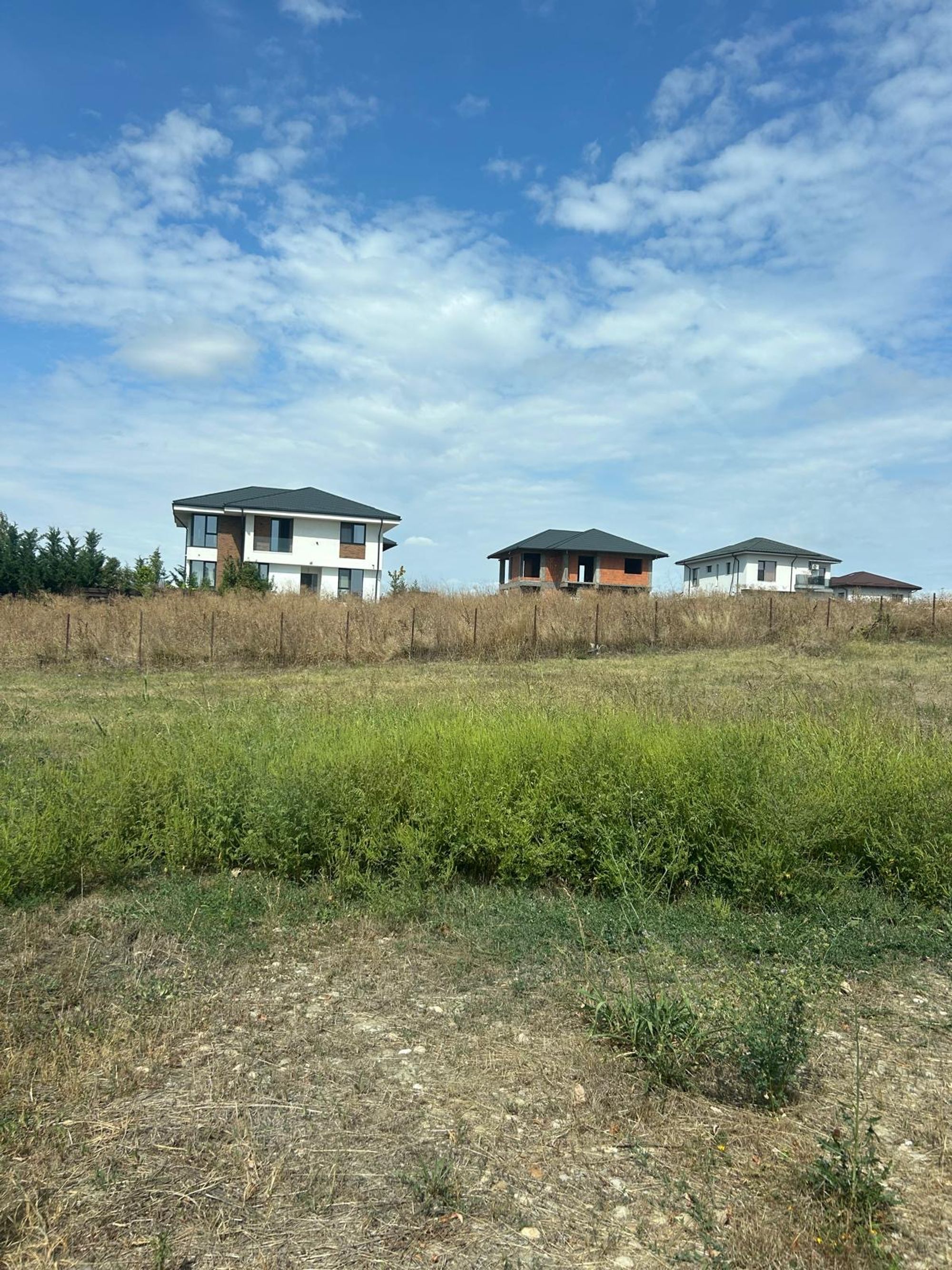 Ambrozie in Bulevardul Paradisul Verde 33, Ostratu, Comuna Corbeanca, Județul Ilfov - bb3d558e-4745-4524-b6c7-be5718041a74.jpeg