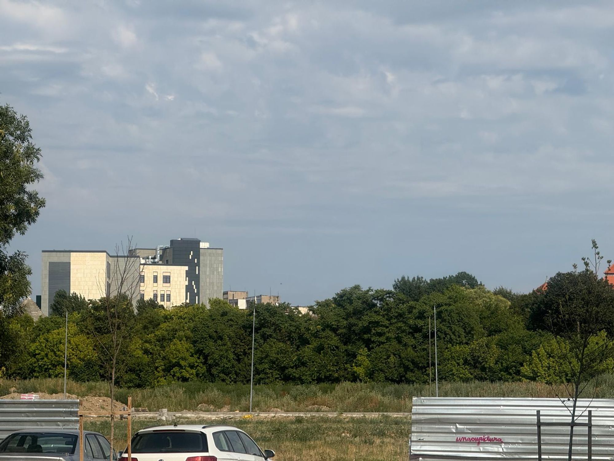 Ambrozie in Calea Circumvalațiunii 4, Timișoara, Municipiu Timişoara, Județul Timiș