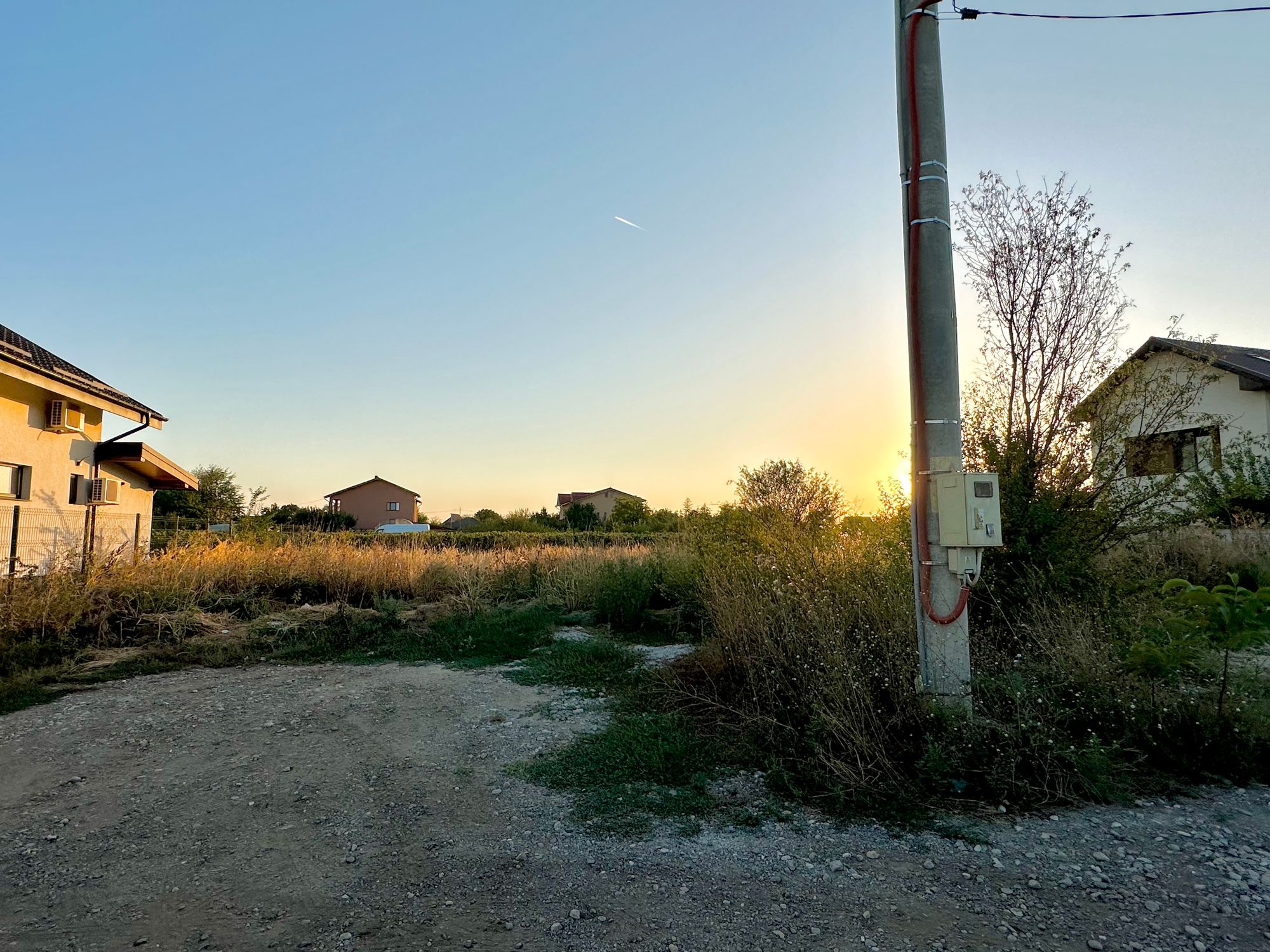 Ambrozie in Strada Ciocârliei 47, Clinceni, Comuna Clinceni, Județul Ilfov - IMG_4049.jpg