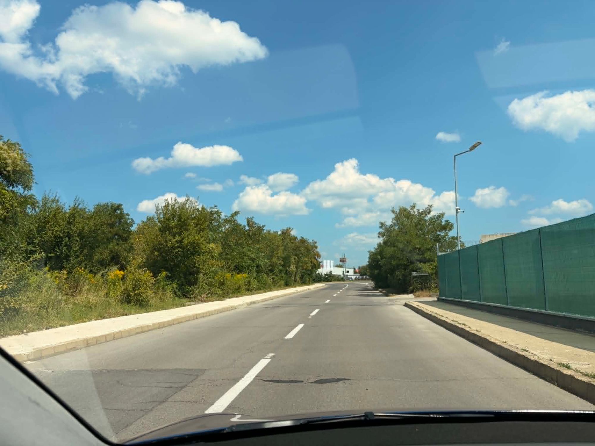 Ambrozie in Strada Poienelor 11B, Brașov, Municipiu Brașov, Județul Brașov