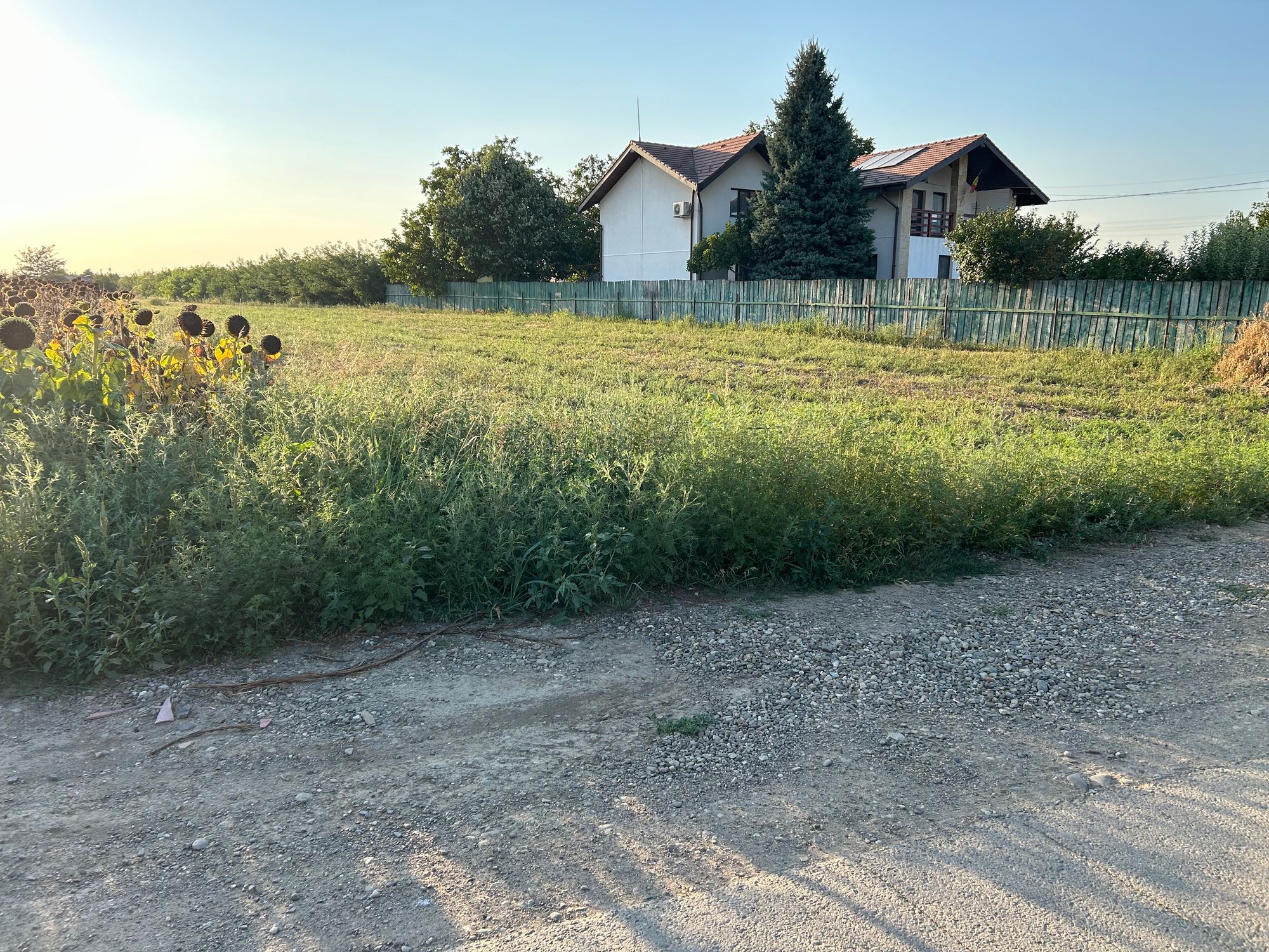 Ambrozie in Strada Fierarului 27A, Holboca, Comuna Holboca, Județul Iași