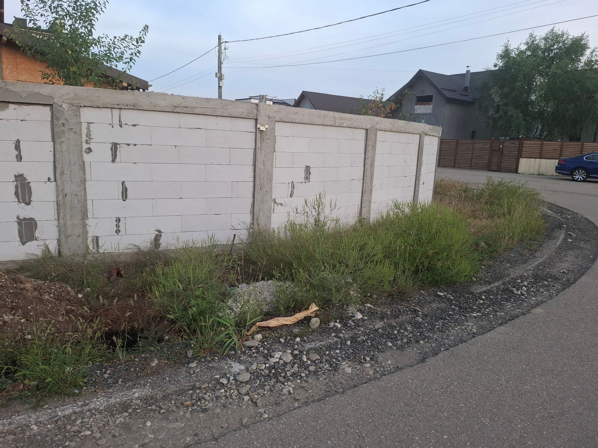 Ambrozie in Strada Crângului 134, Strejnicu, Comuna Târgșoru Vechi, Județul Prahova - 20250907_185333.jpg