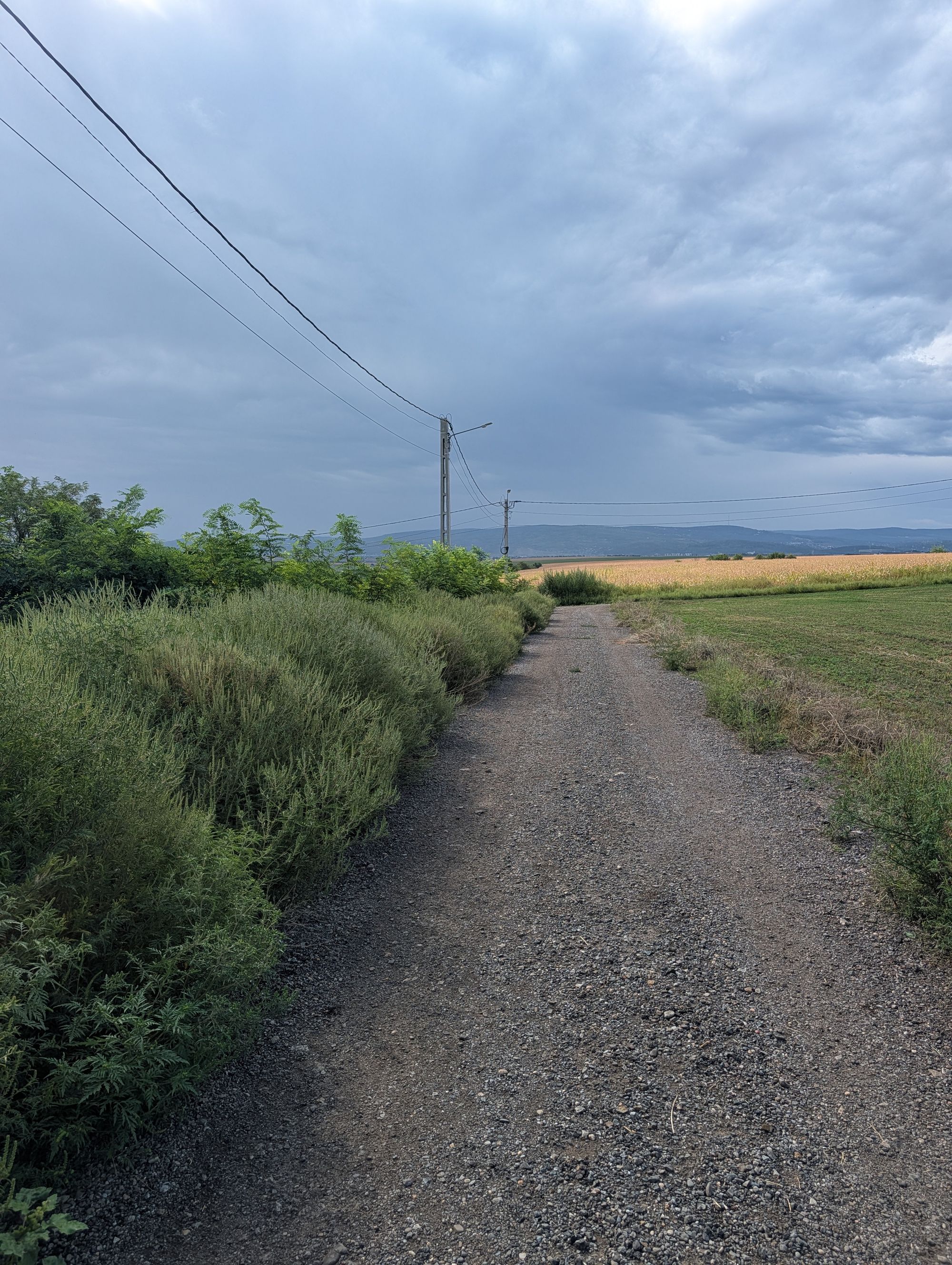 Ambrozie in Aroneanu, Comuna Aroneanu, Județul Iași