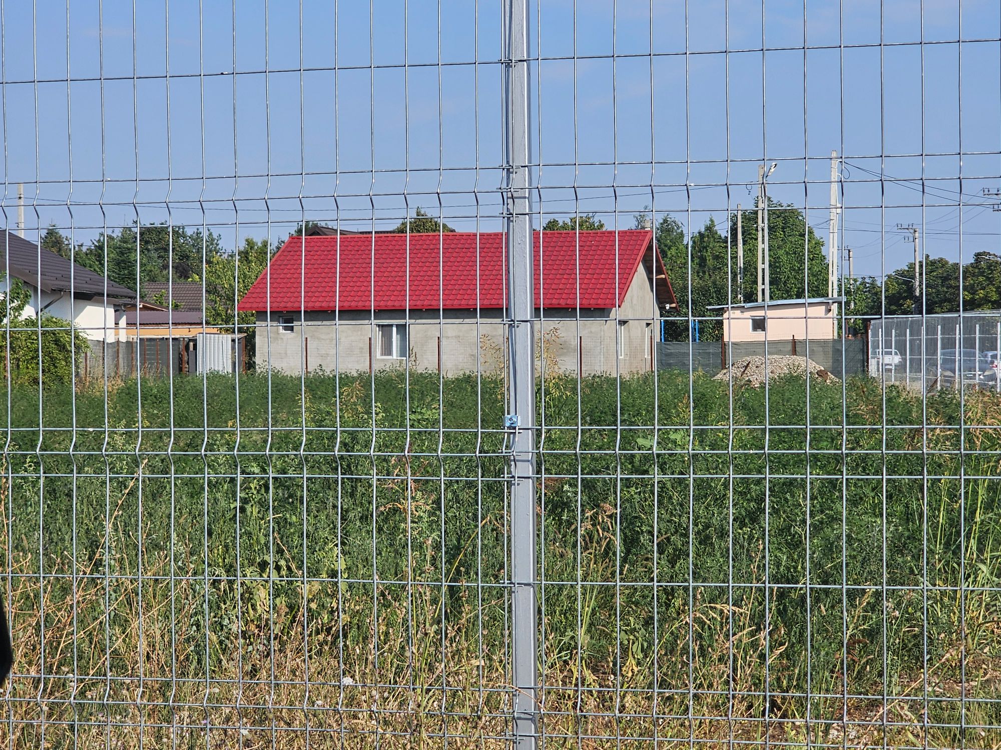 Ambrozie in Strada Jupiter 6, Strejnicu, Comuna Târgșoru Vechi, Județul Prahova - 20250811_172809.jpg