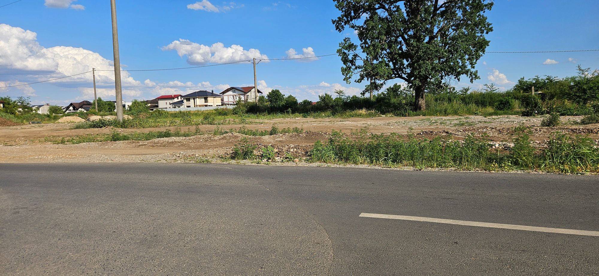 Ambrozie in Strada Topaz 6J, Bragadiru, Oraş Bragadiru, Județul Ilfov - 20250711_175116.jpg