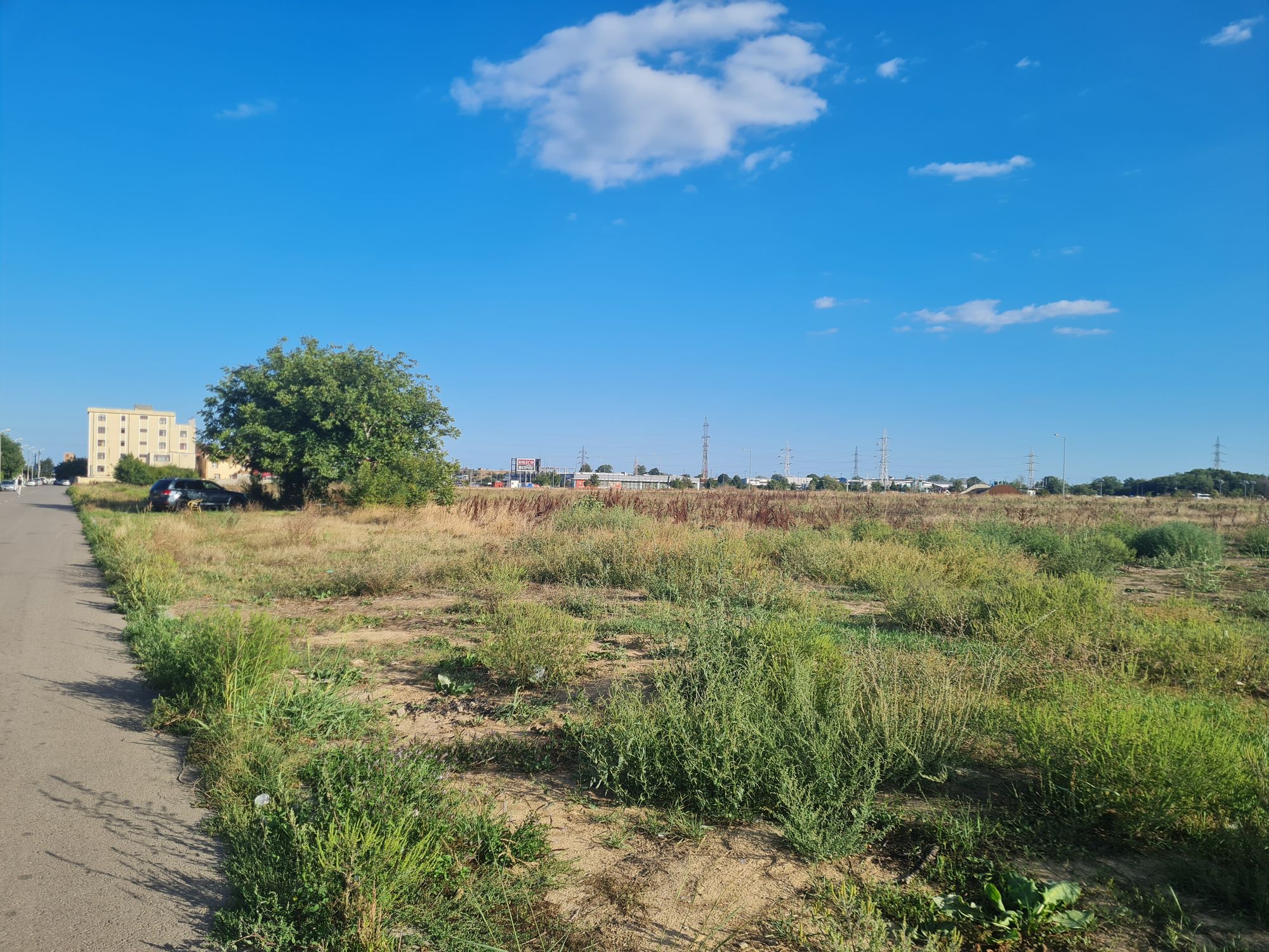 Ambrozie in Strada Lanului 32, Constanța, Municipiul Constanța, Județul Constanța